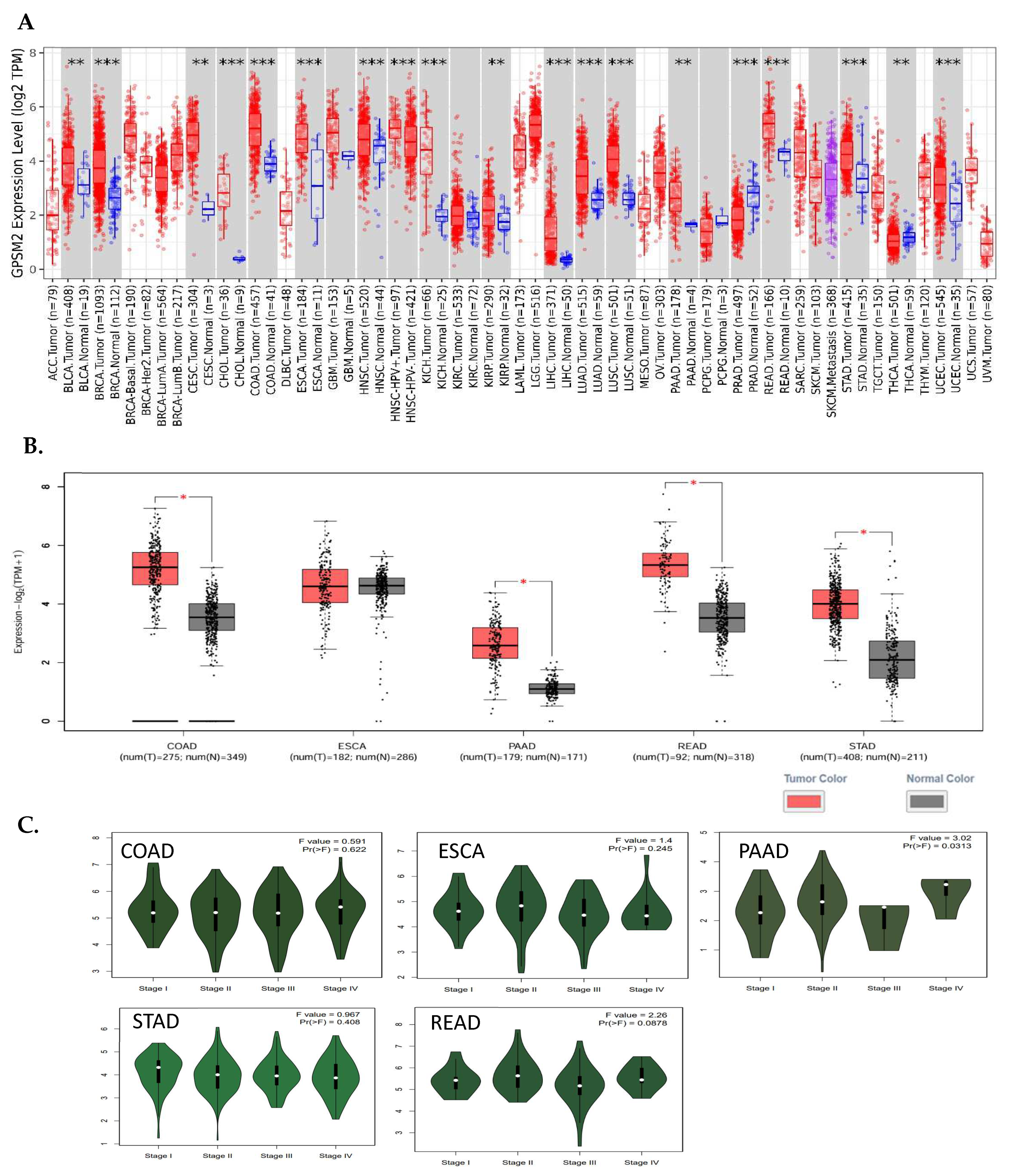 Genes 15 00474 g003