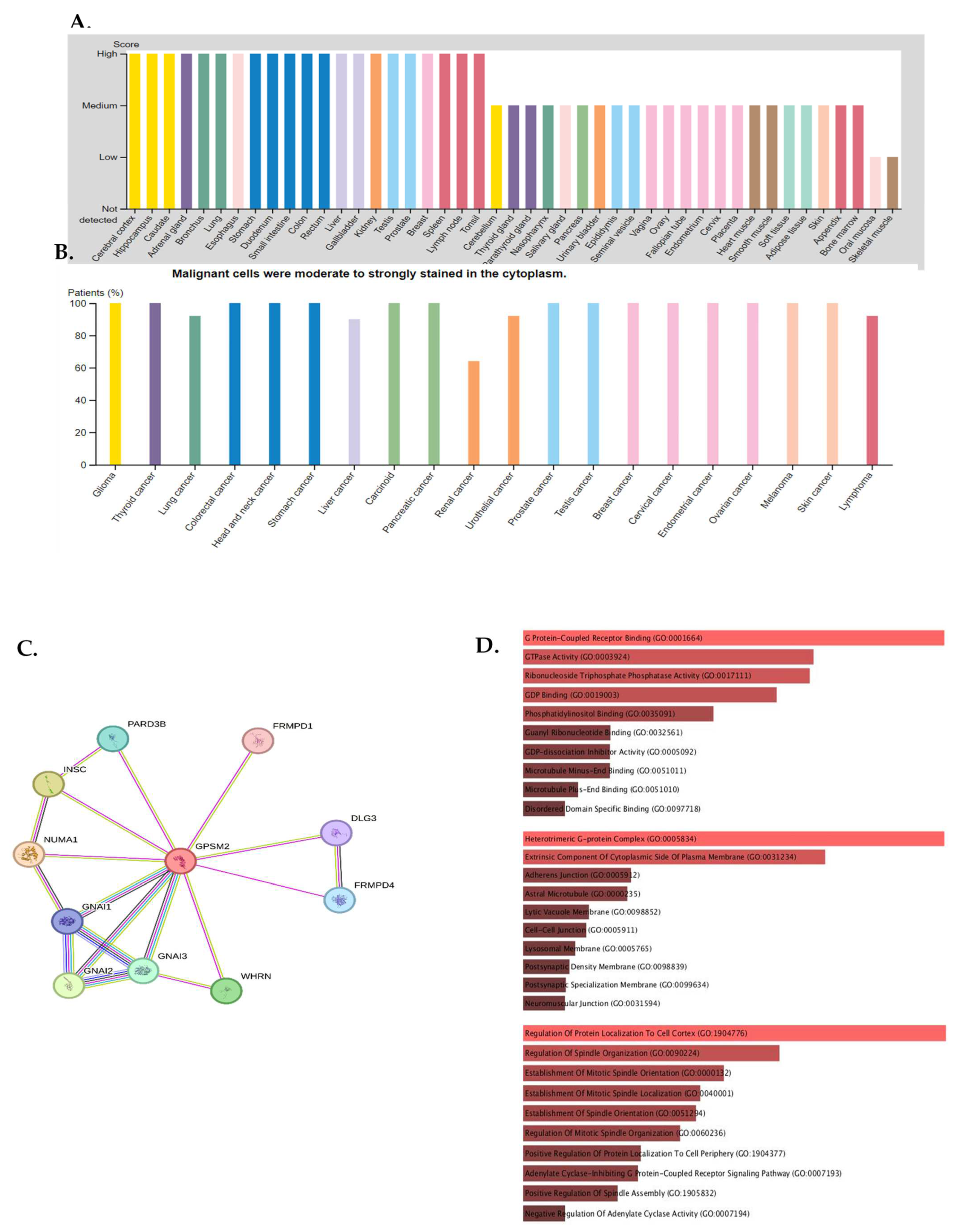 Genes 15 00474 g004a