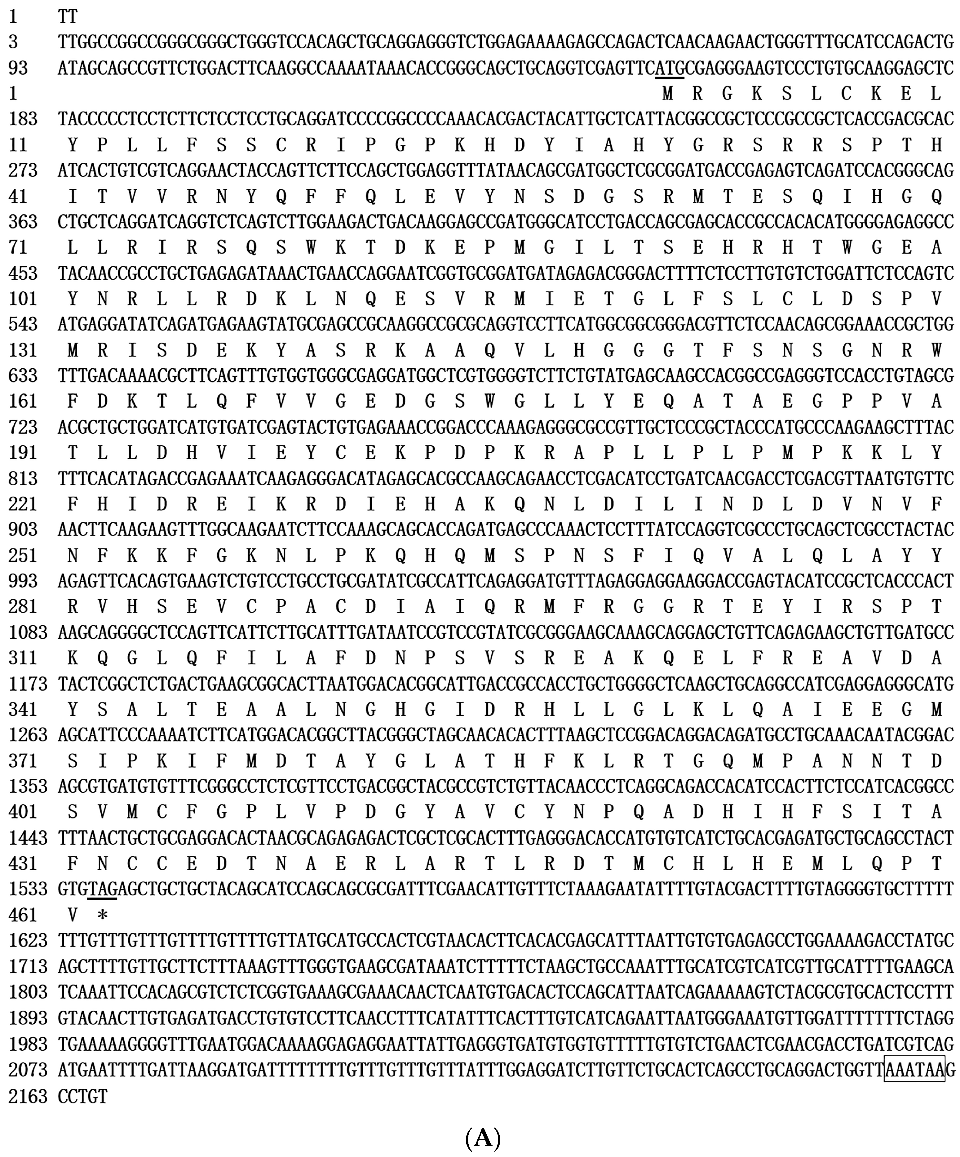 Genes 15 00480 g001a