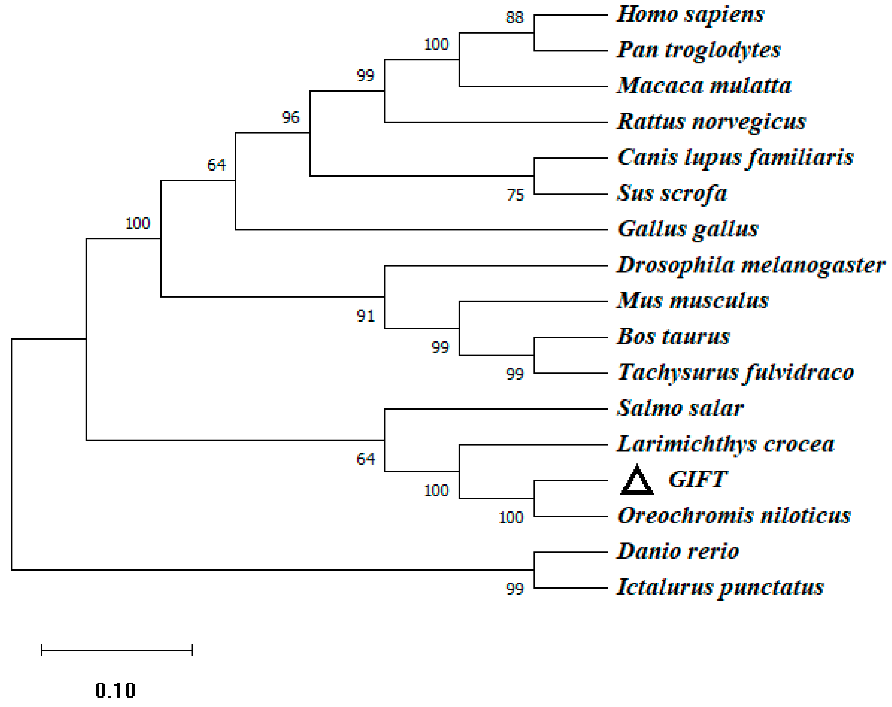 Genes 15 00480 g005