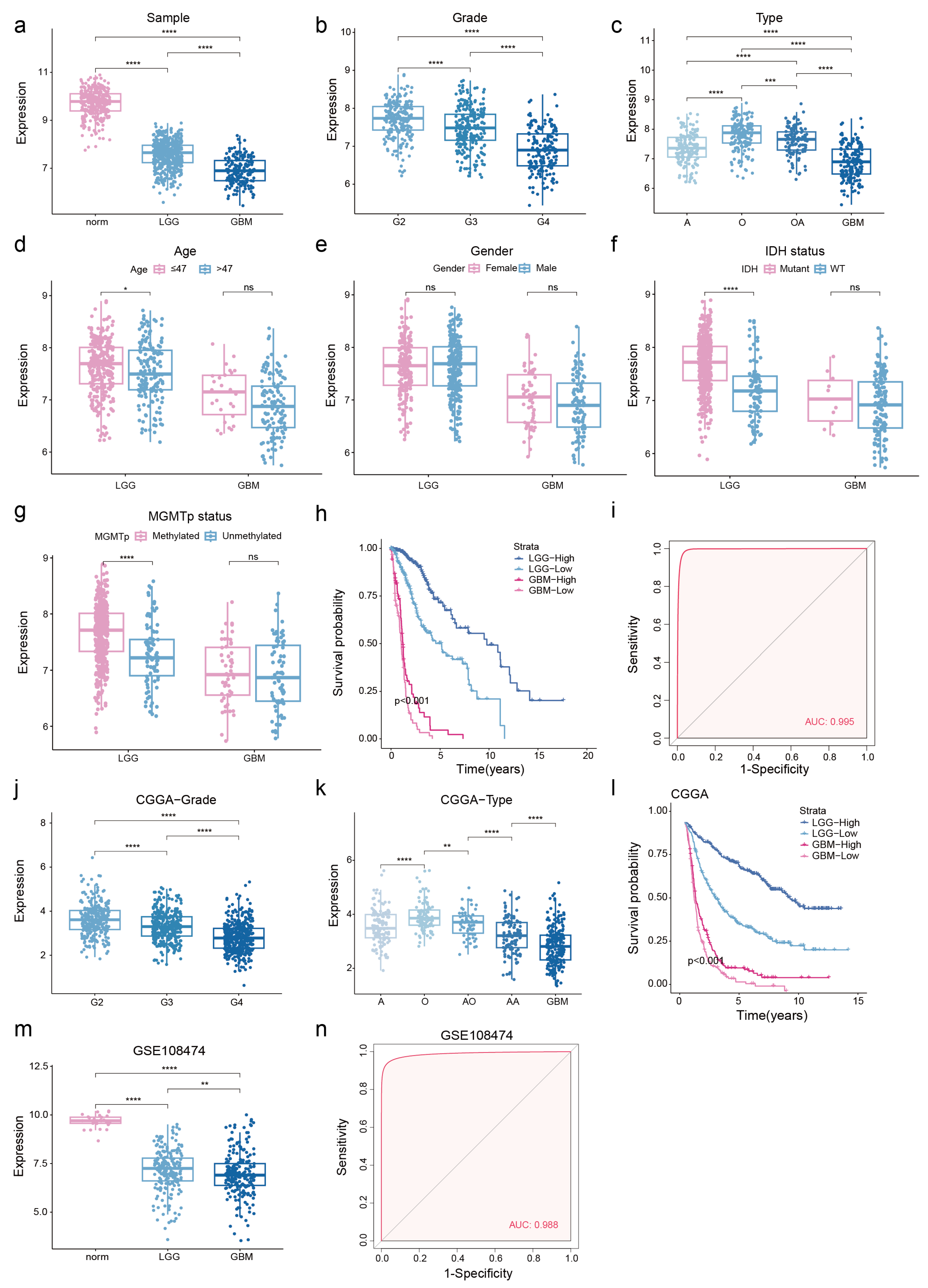 Genes 15 00483 g003