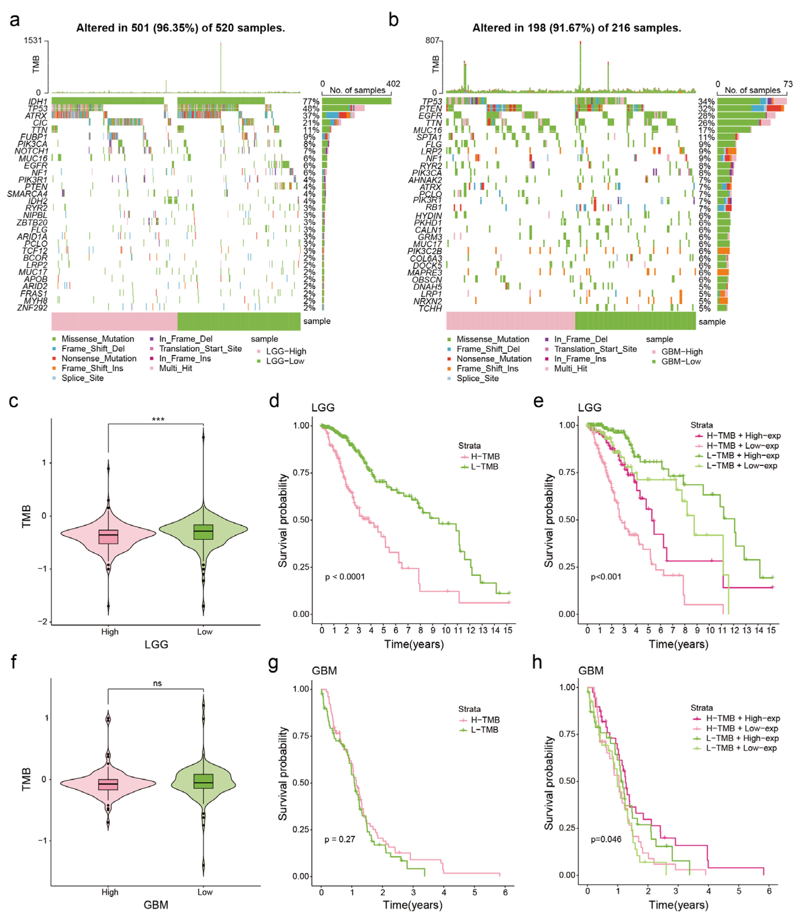 Genes 15 00483 g004