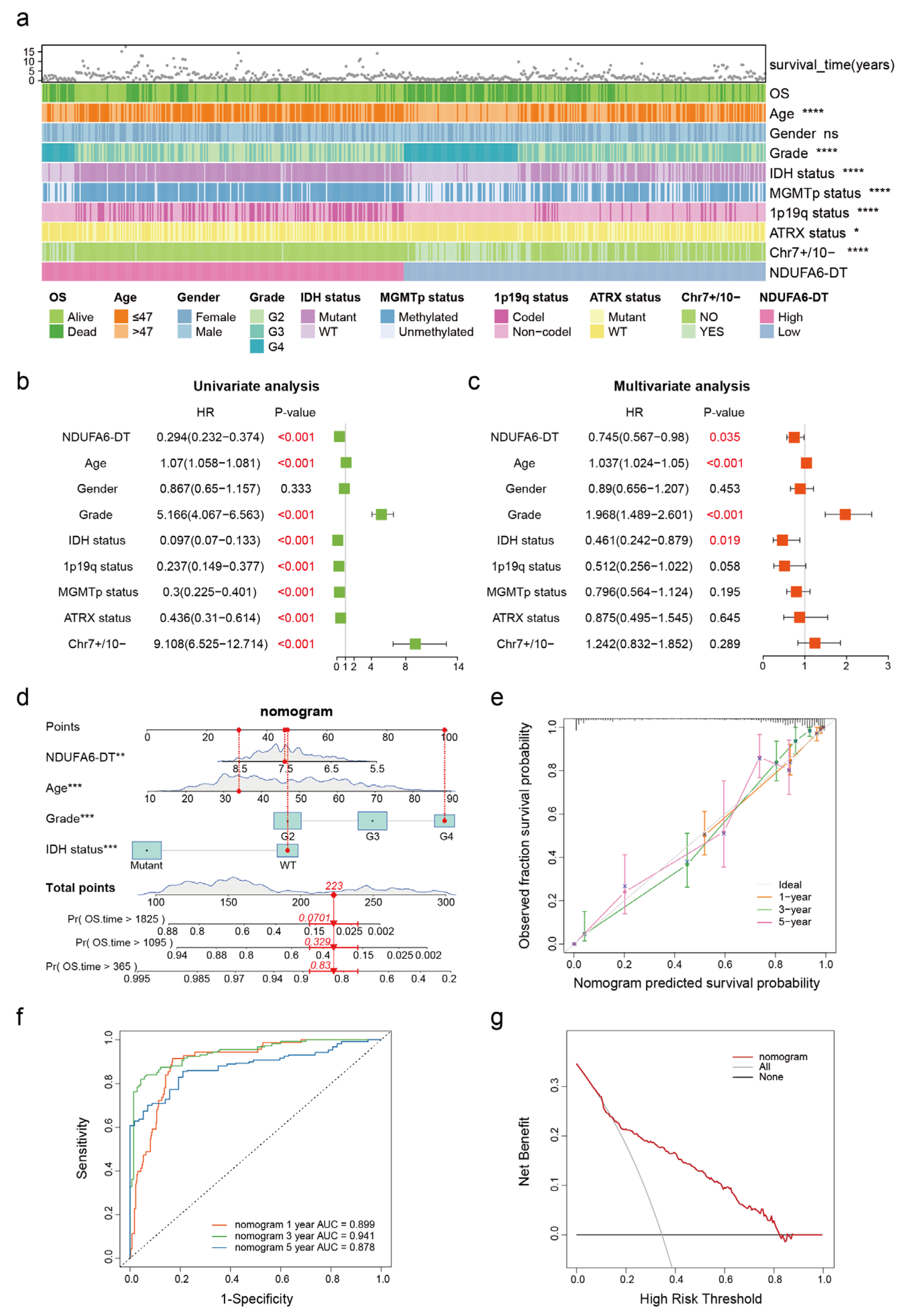 Genes 15 00483 g005