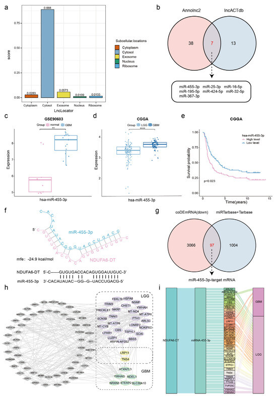 LncRNA NDUFA6-DT: A Comprehensive Analysis of a Potential LncRNA ...
