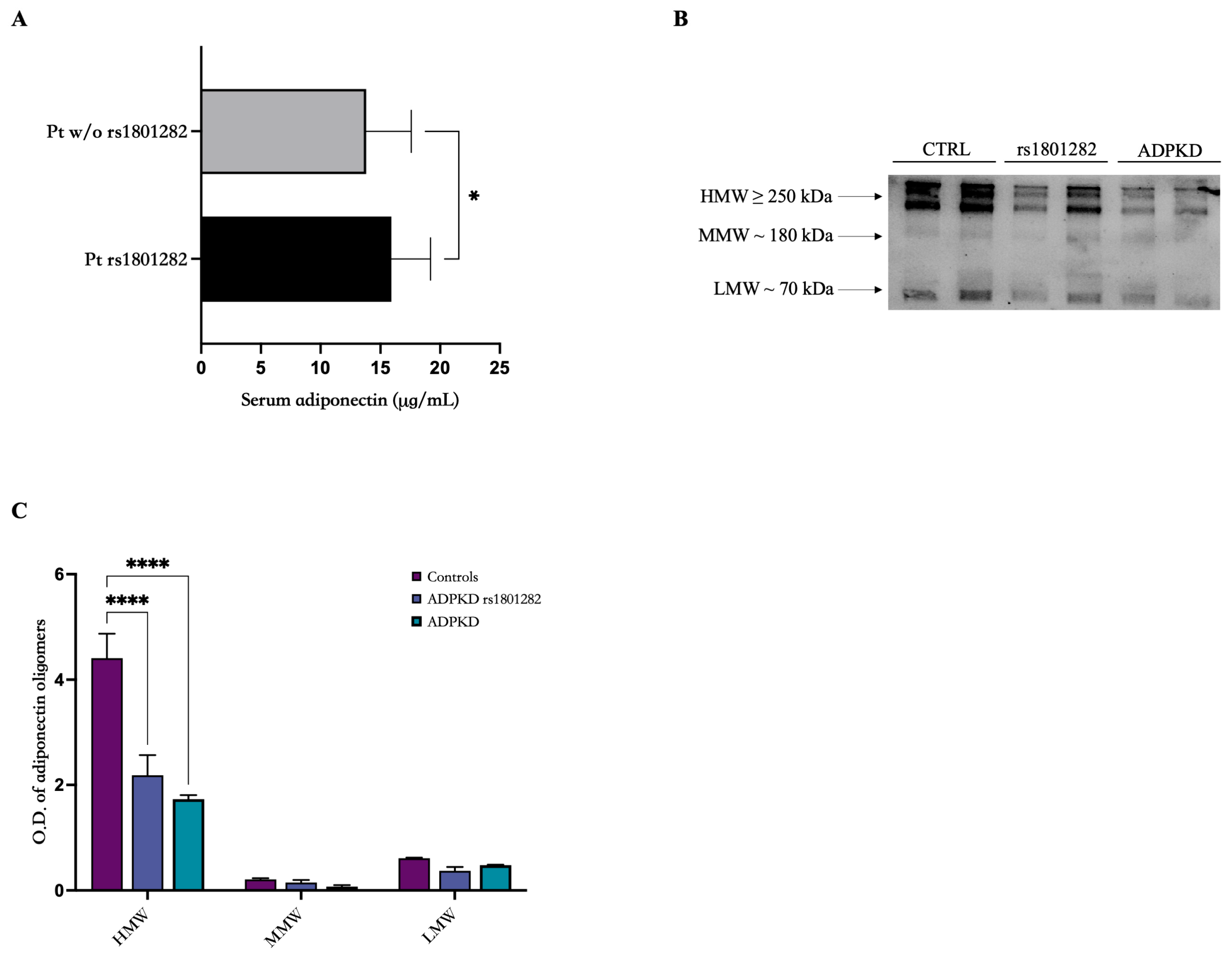 Genes 15 00484 g004