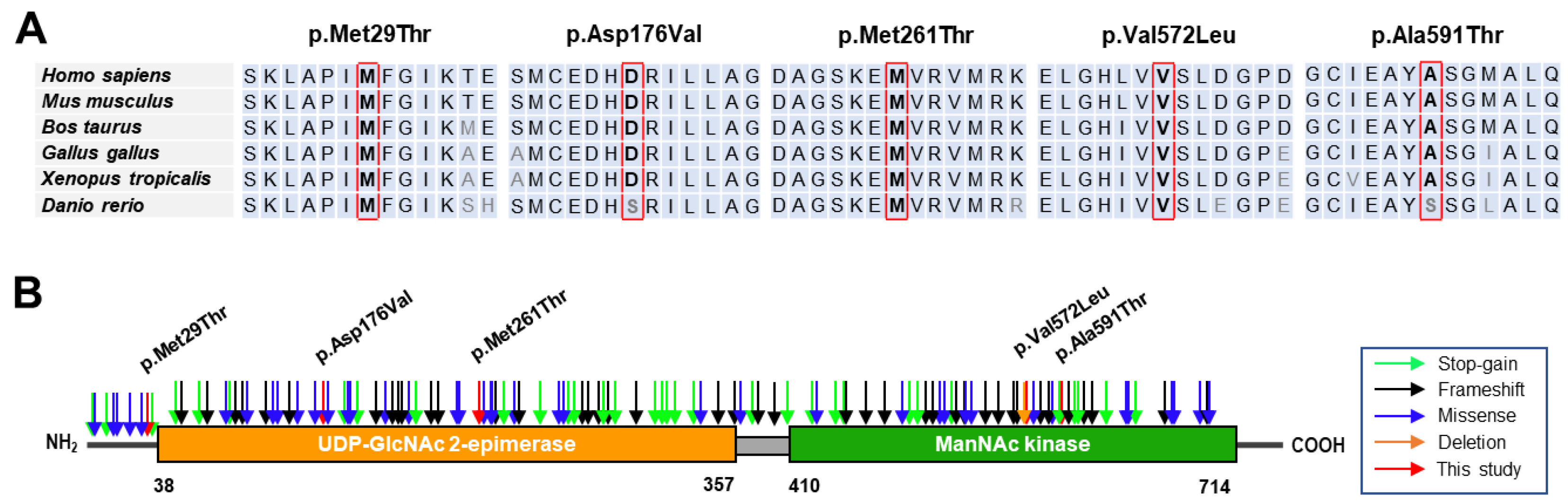 Genes 15 00485 g002 Genes 15 00485 g002