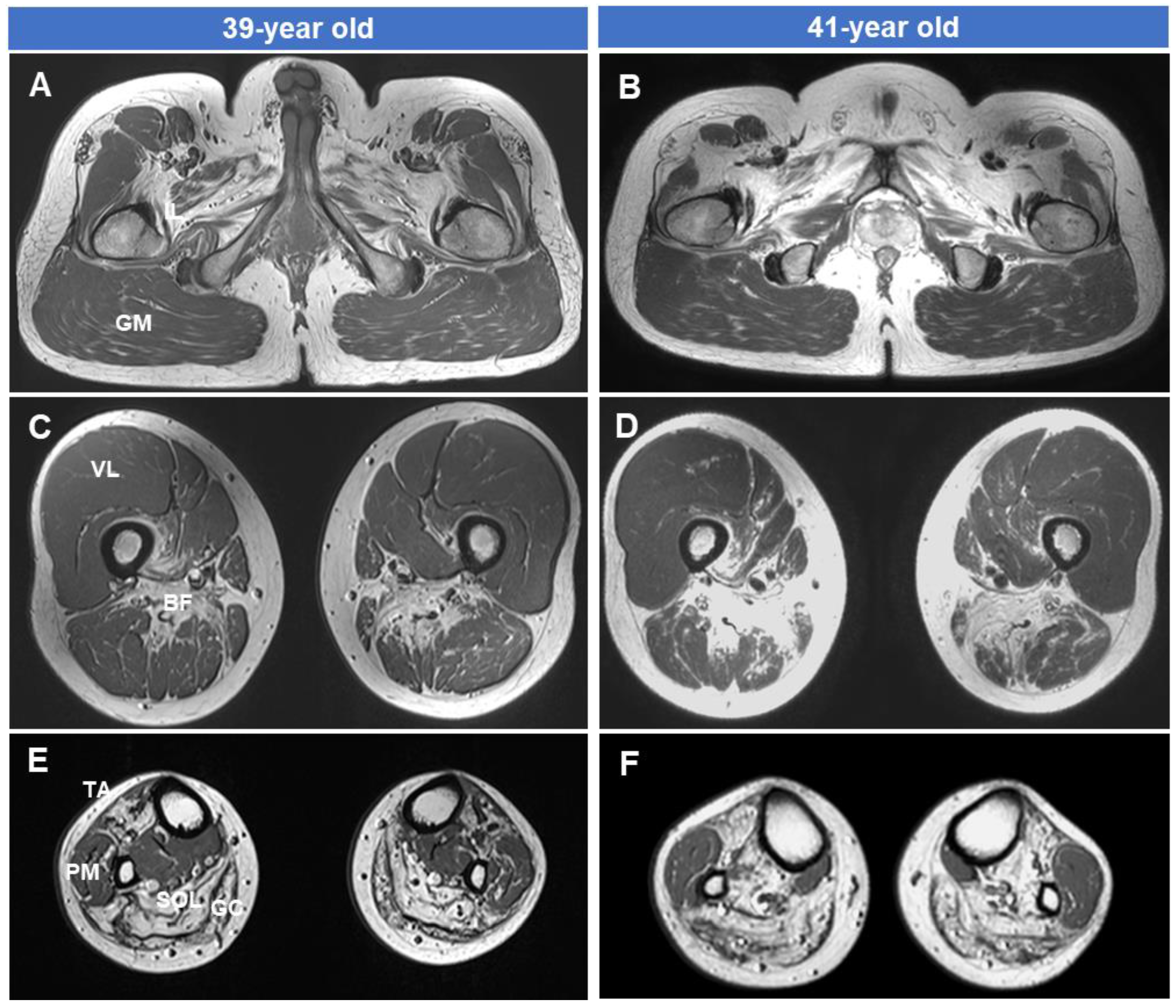Genes 15 00485 g004 Genes 15 00485 g004
