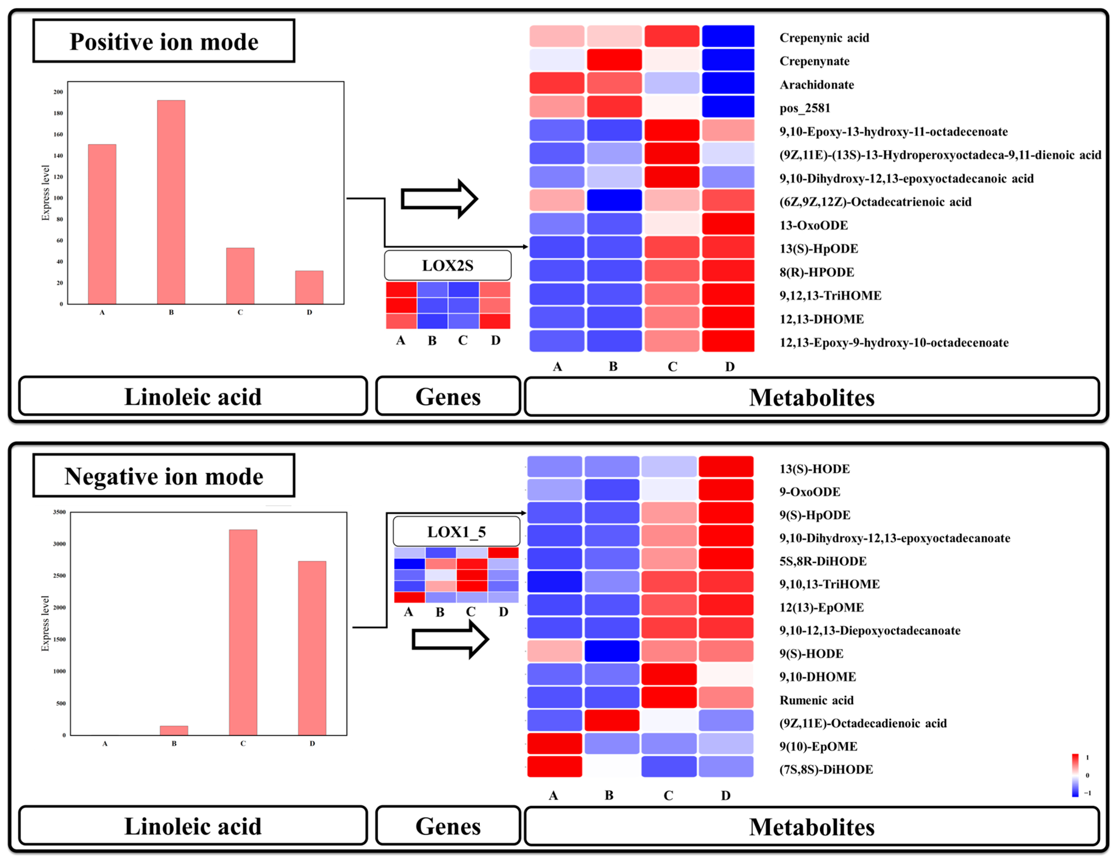 Genes 15 00488 g008
