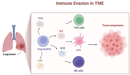 NK様 FOXP3: A Player of Immunogenetic Architecture in Lung Cancer