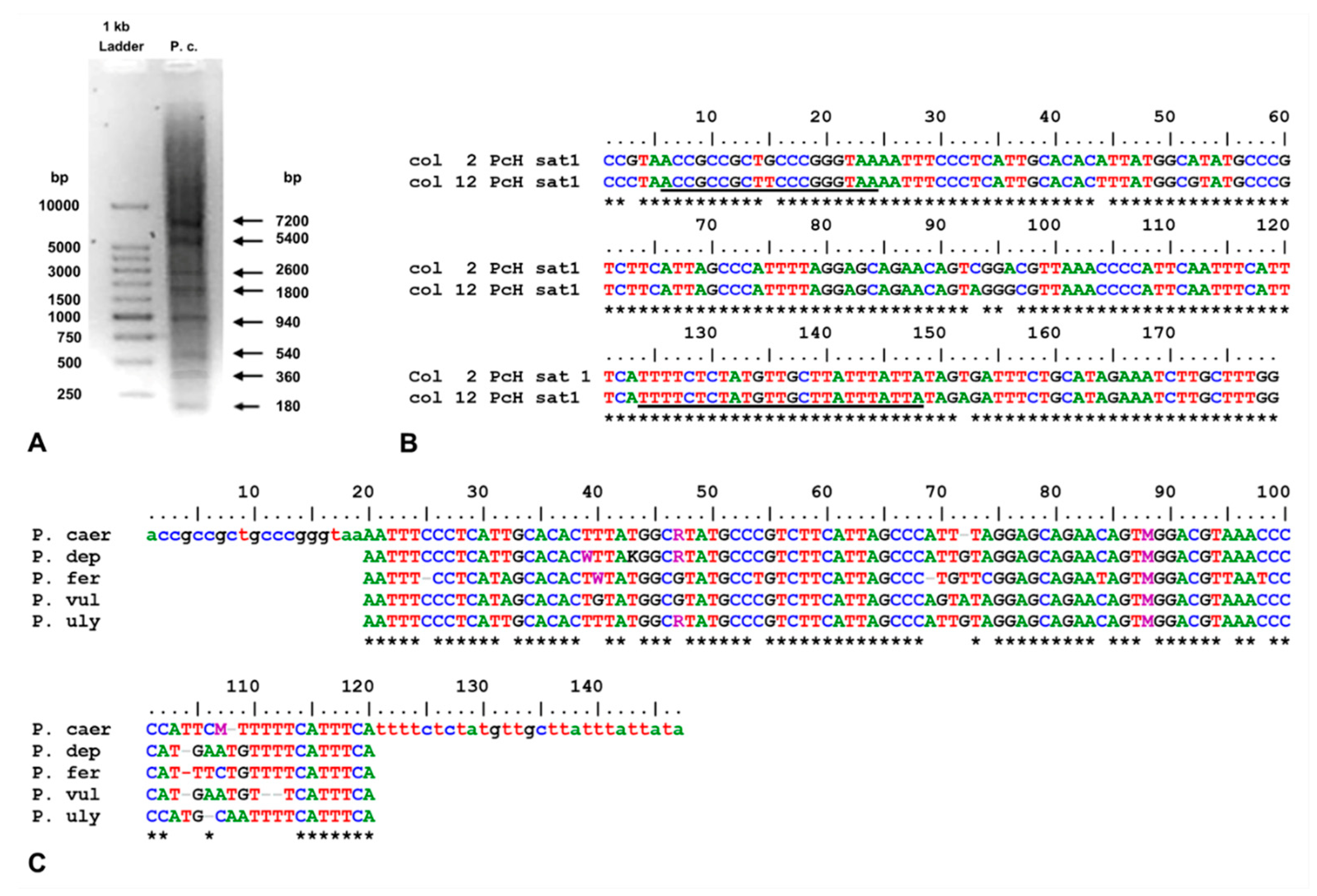 Genes 15 00541 g001