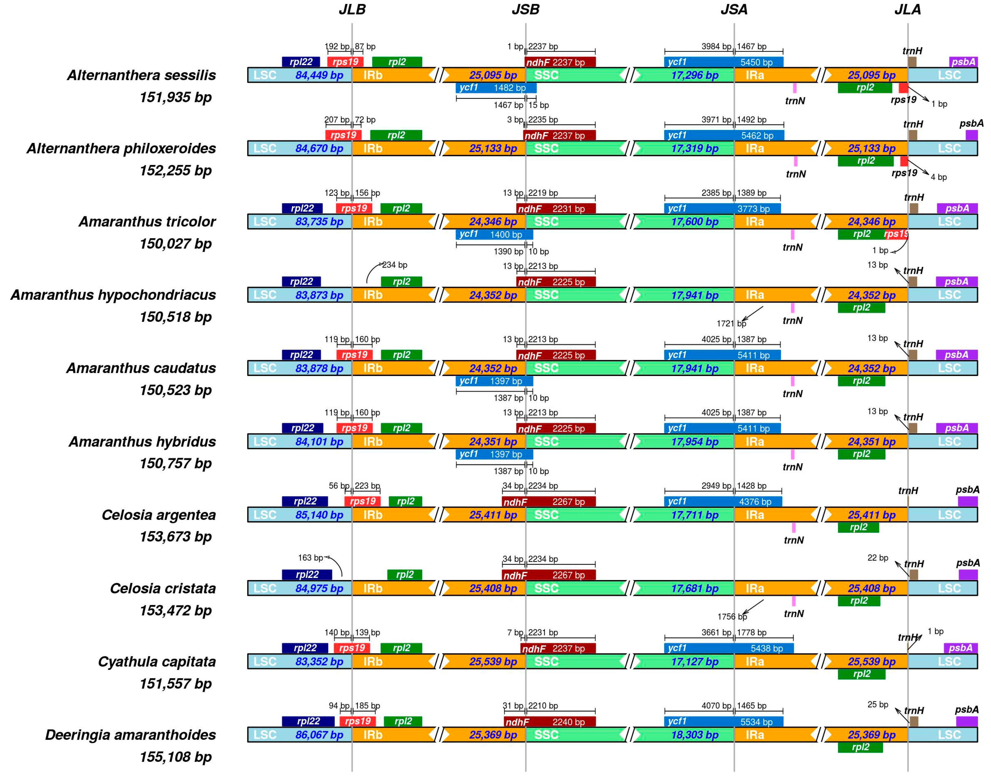 Genes 15 00544 g007