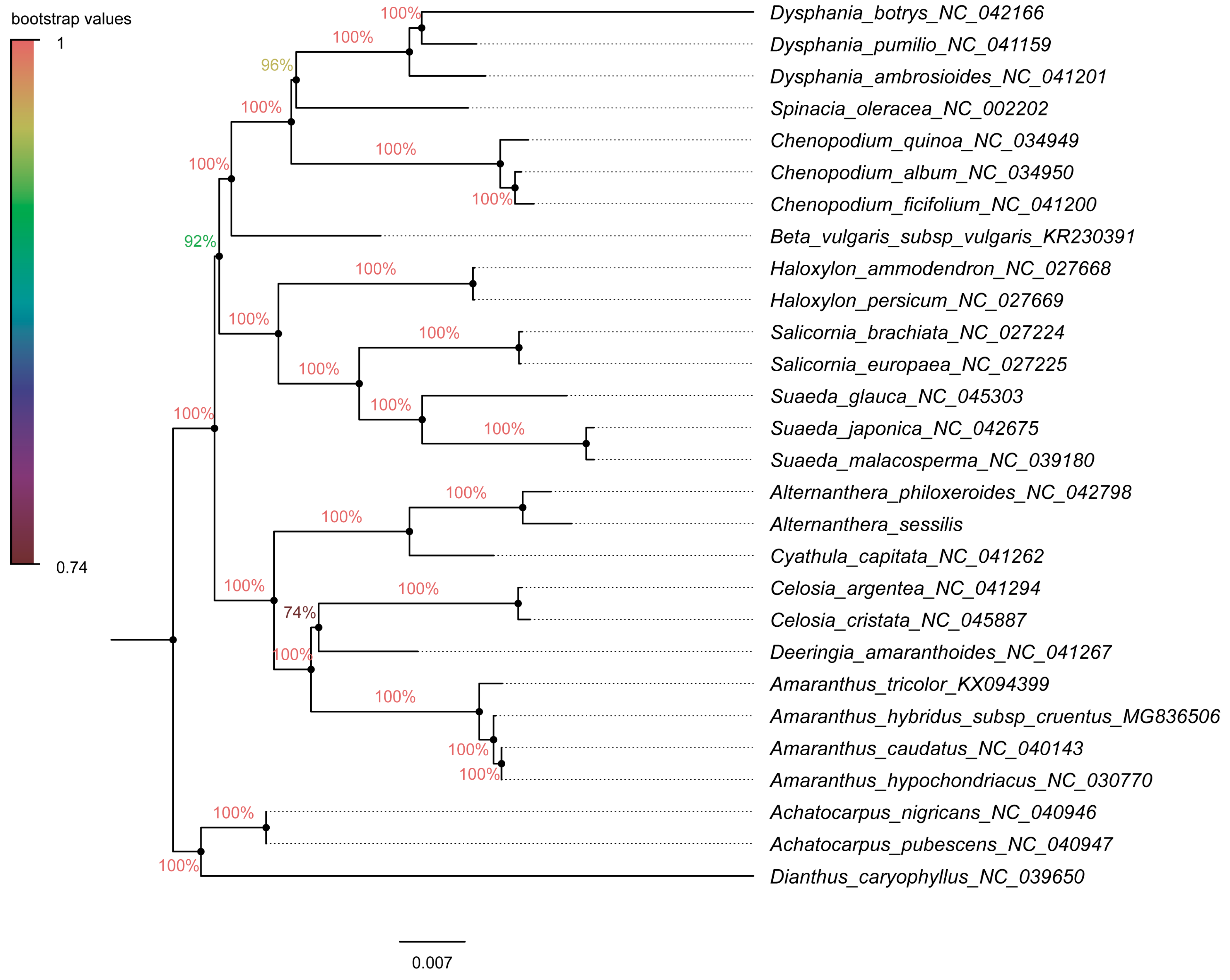 Genes 15 00544 g009