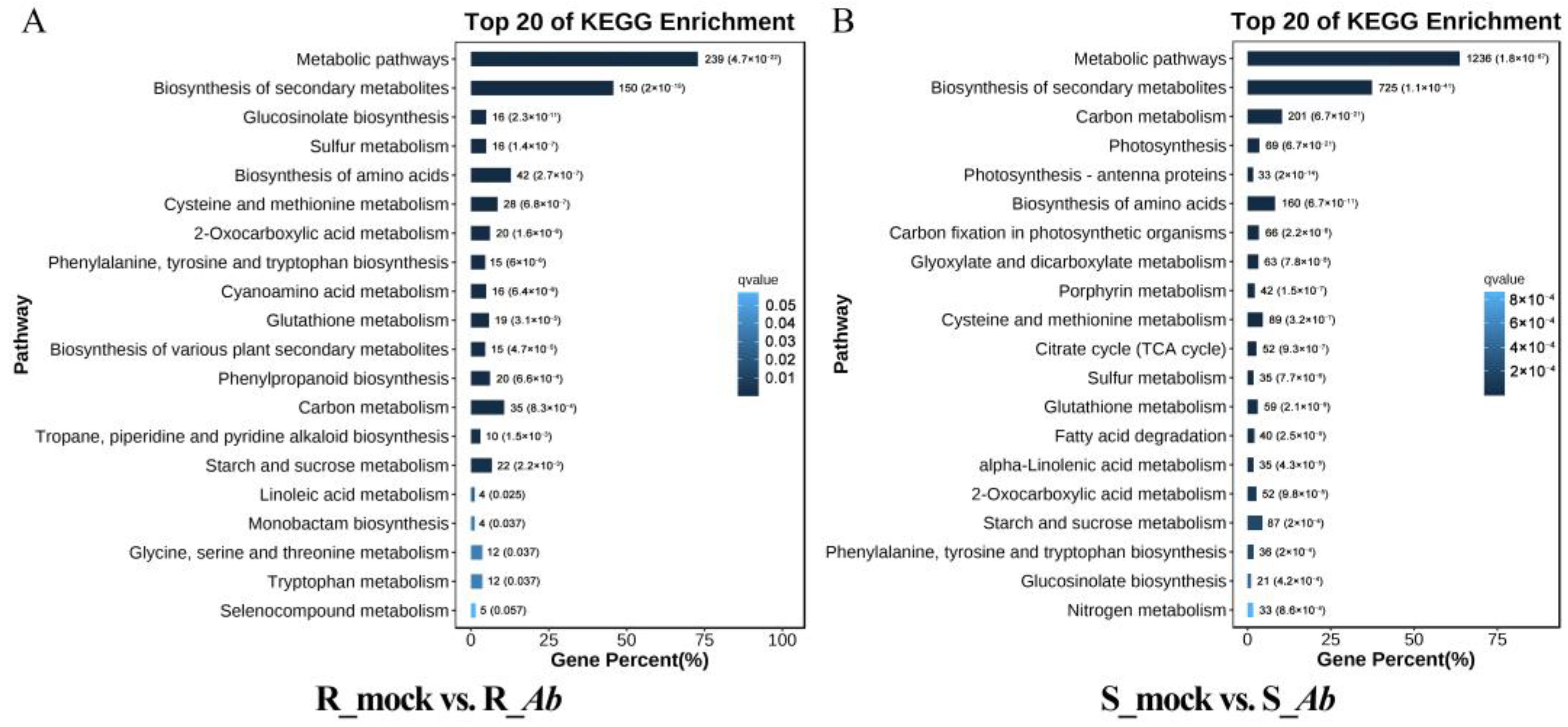 Genes 15 00545 g003