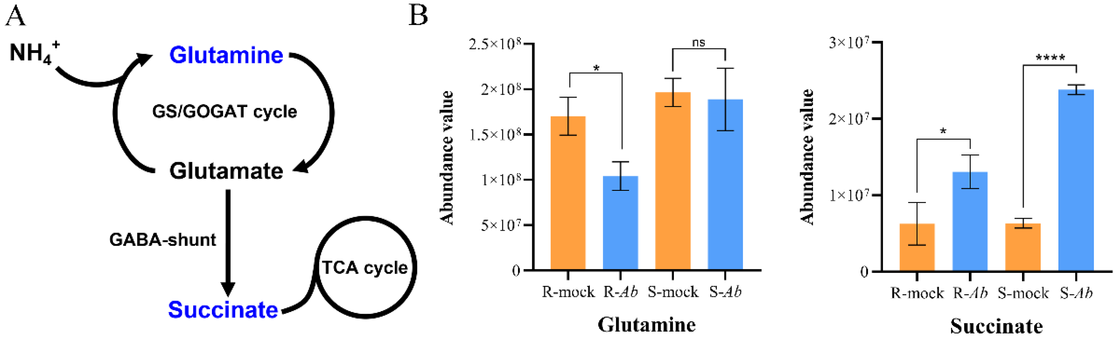 Genes 15 00545 g008