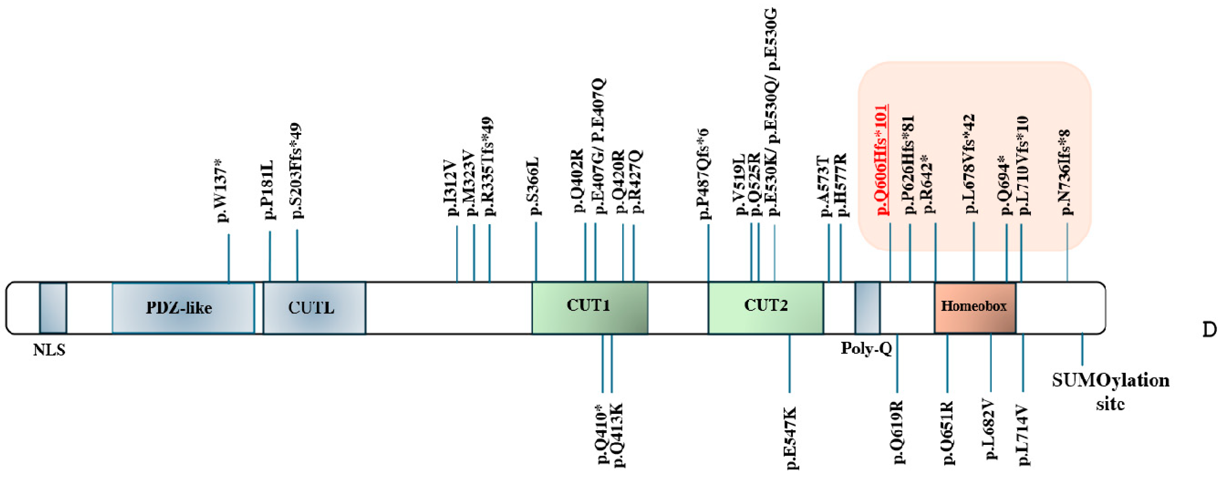 Genes 15 00548 g002c
