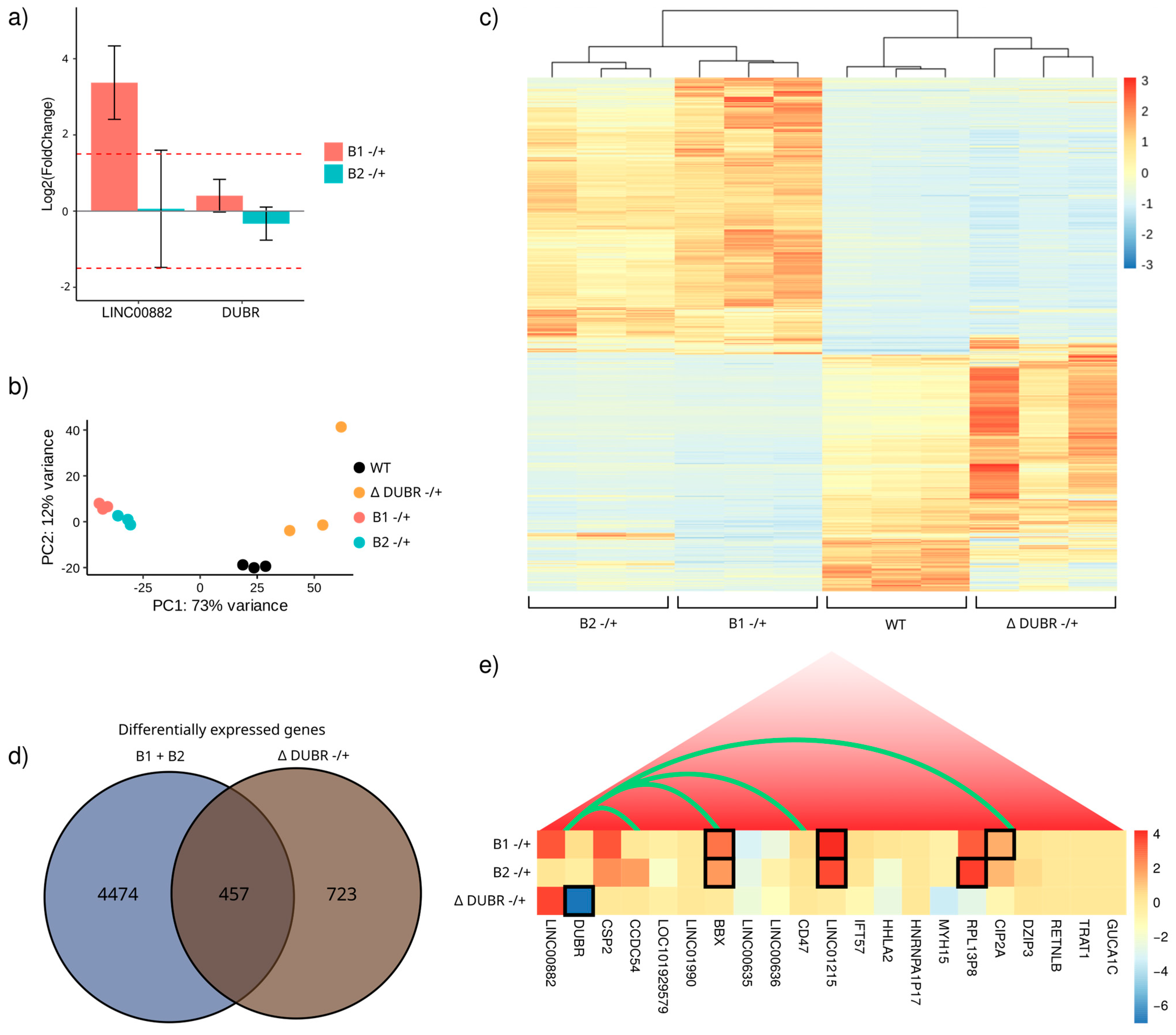Genes 15 00549 g003