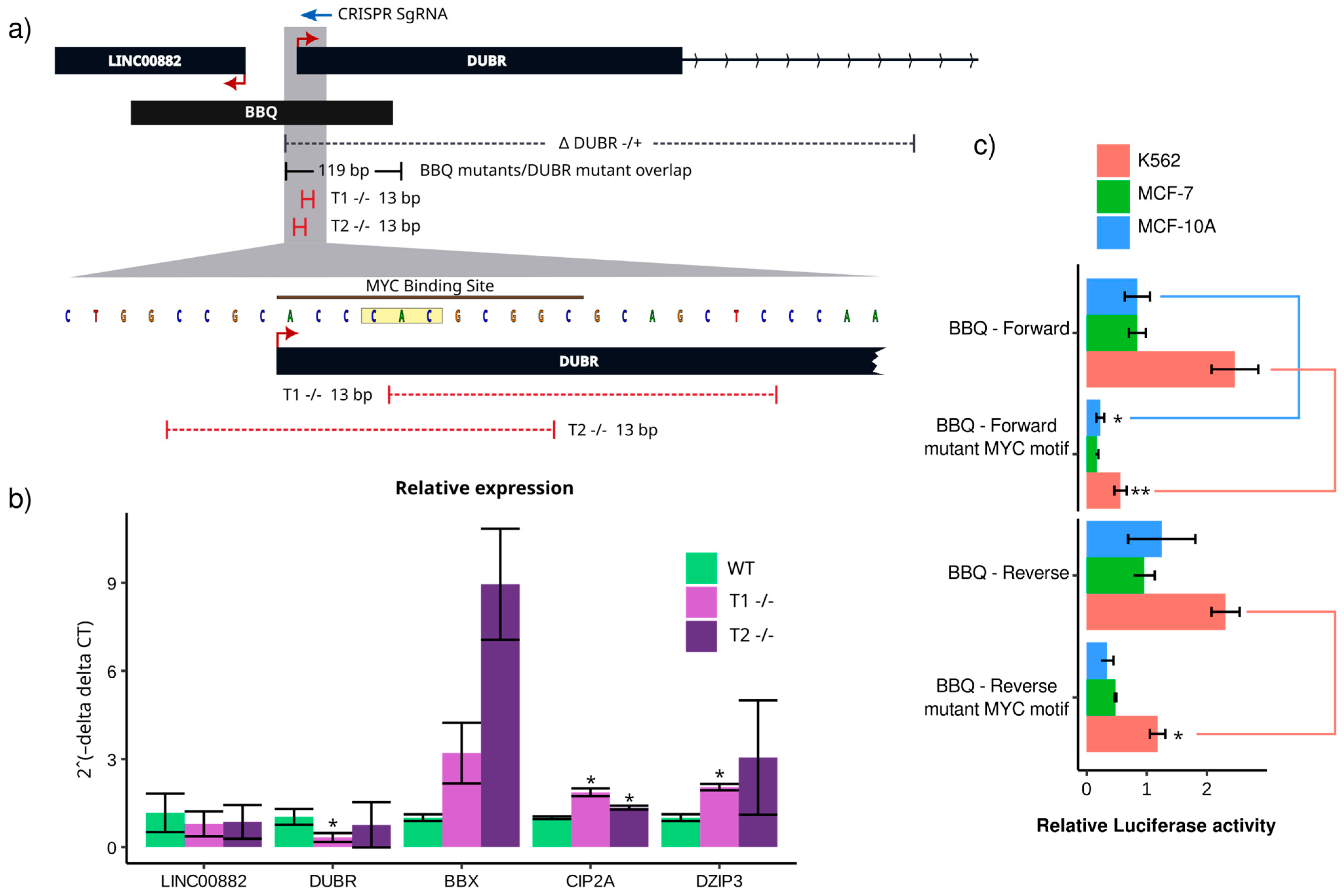 Genes 15 00549 g004