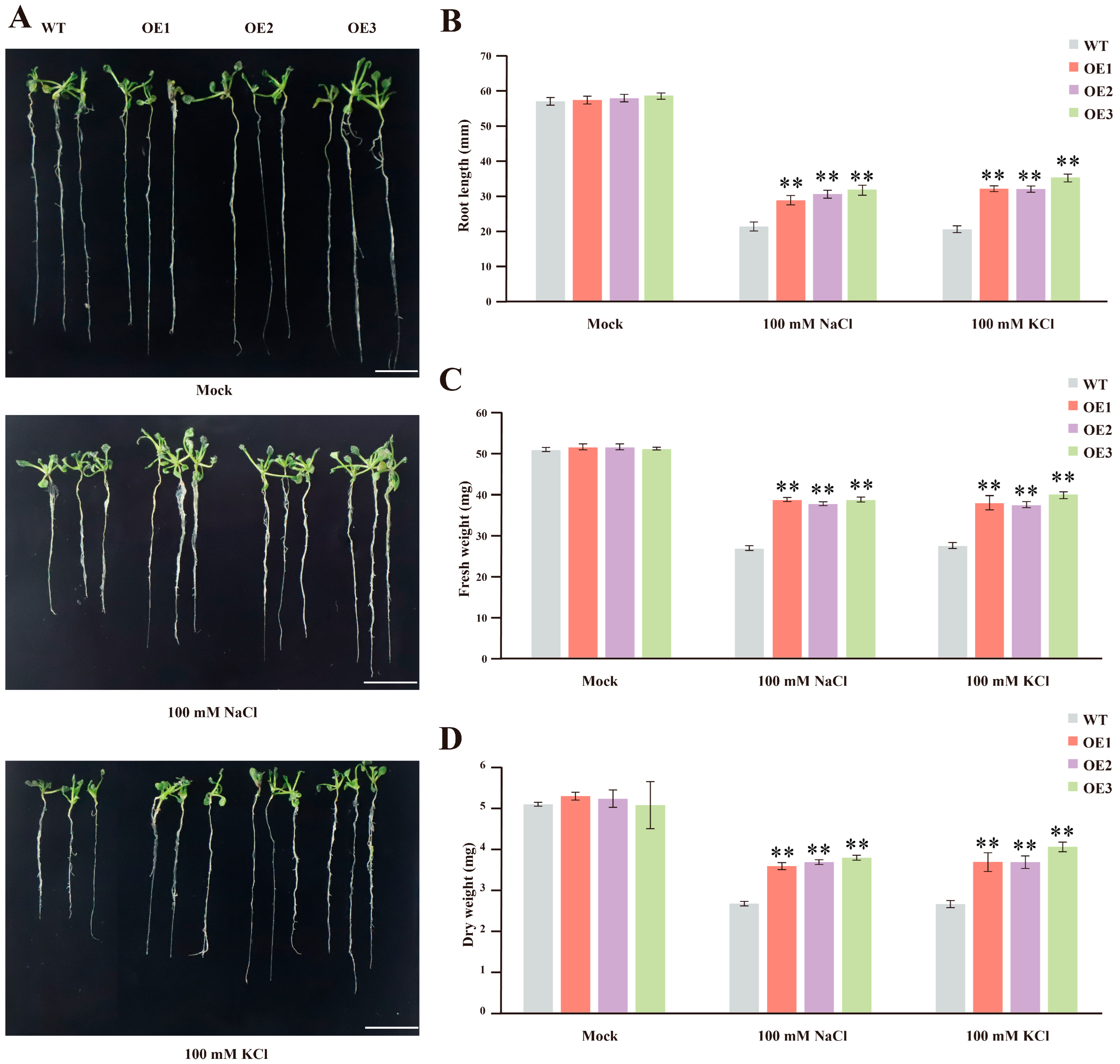 Genes 15 00555 g006