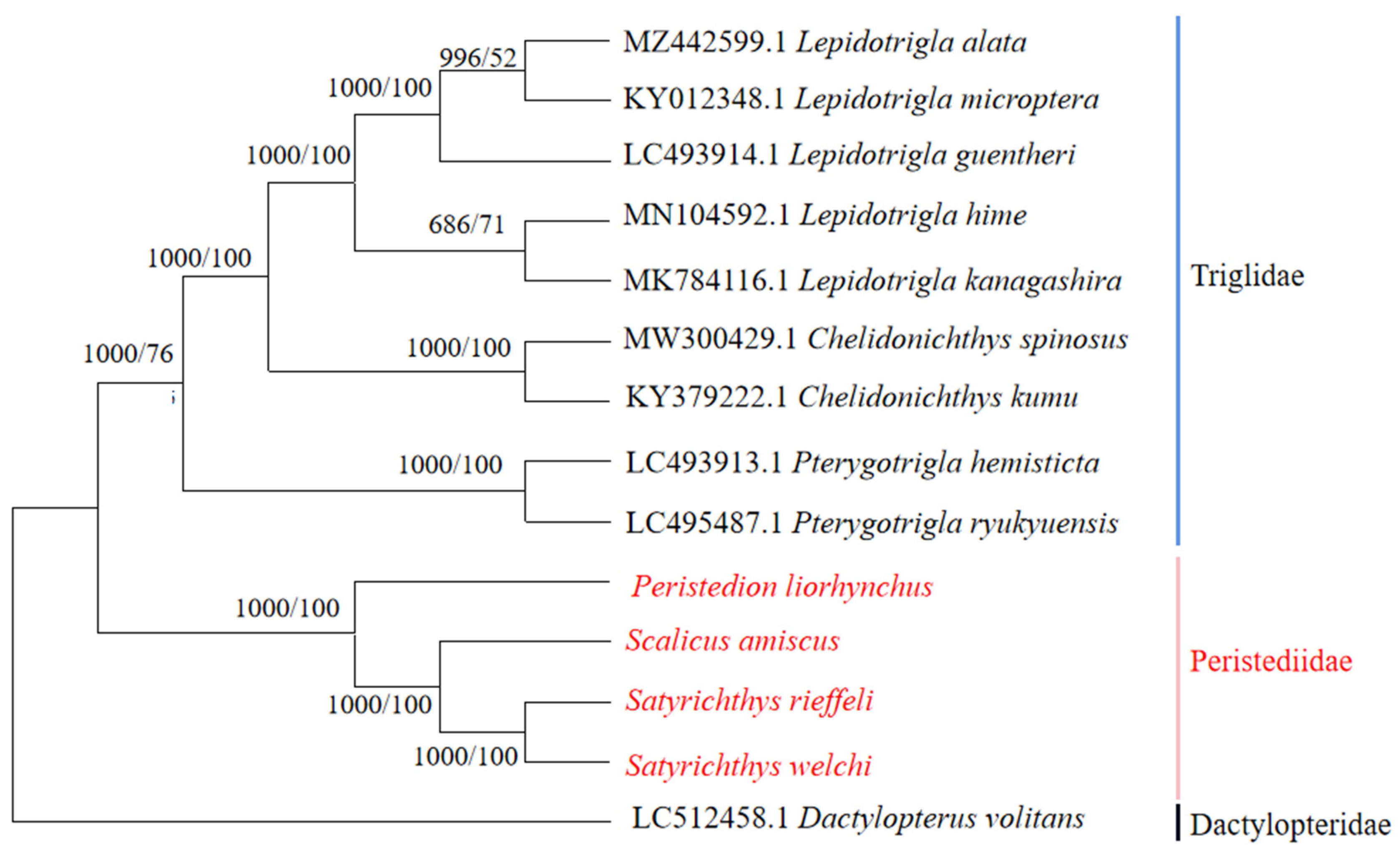 Genes 15 00557 g007