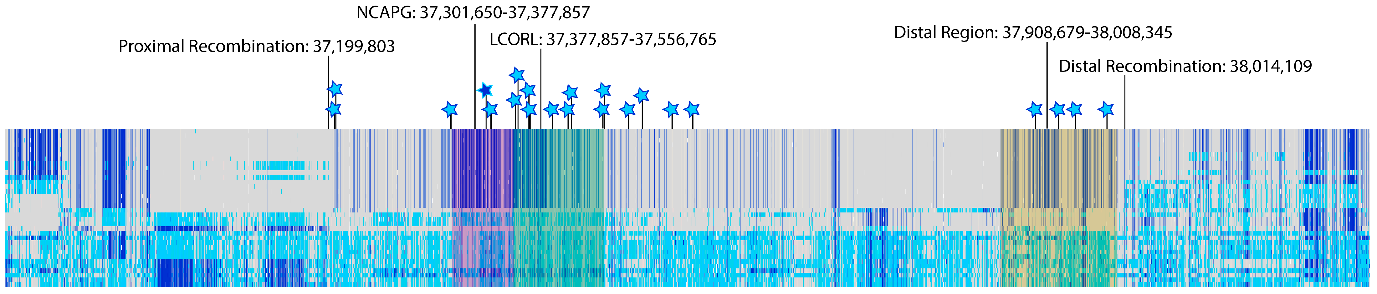 Genes 15 00576 g001 Genes 15 00576 g001
