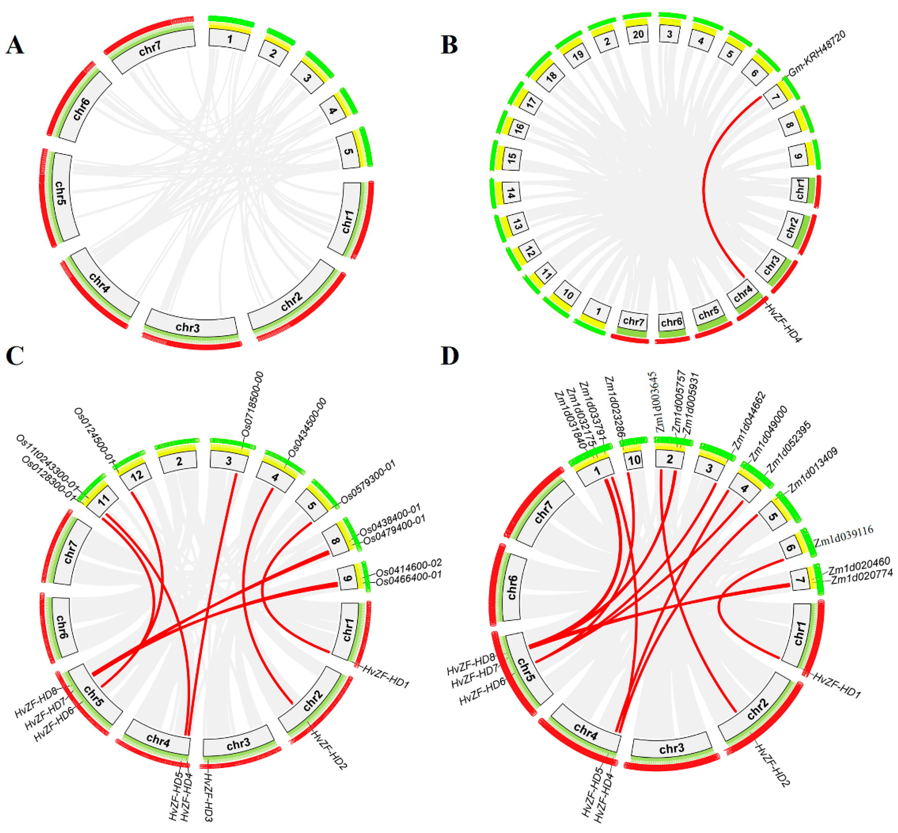 Genes 15 00578 g003