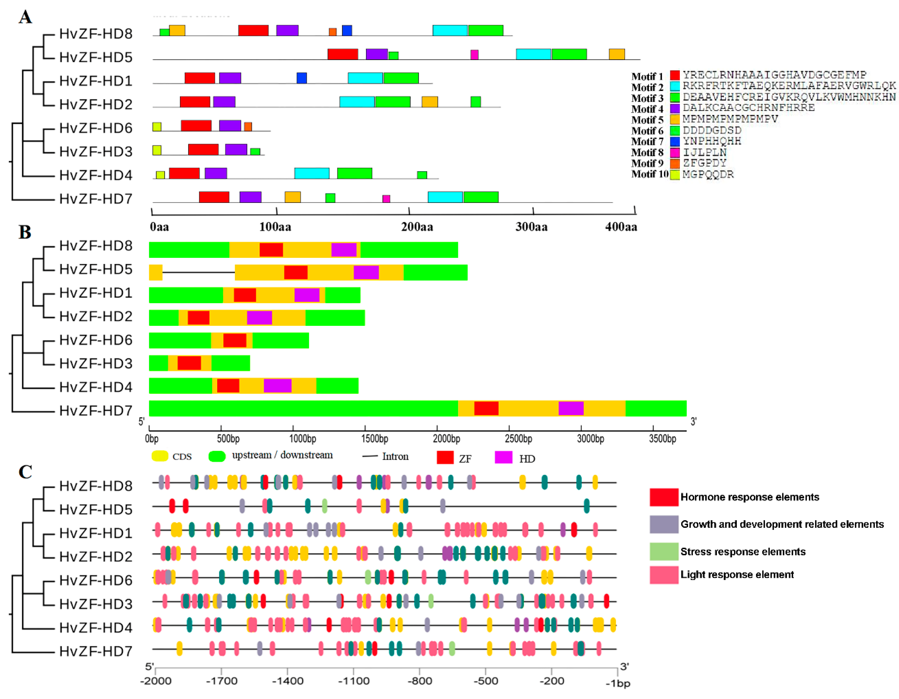 Genes 15 00578 g004