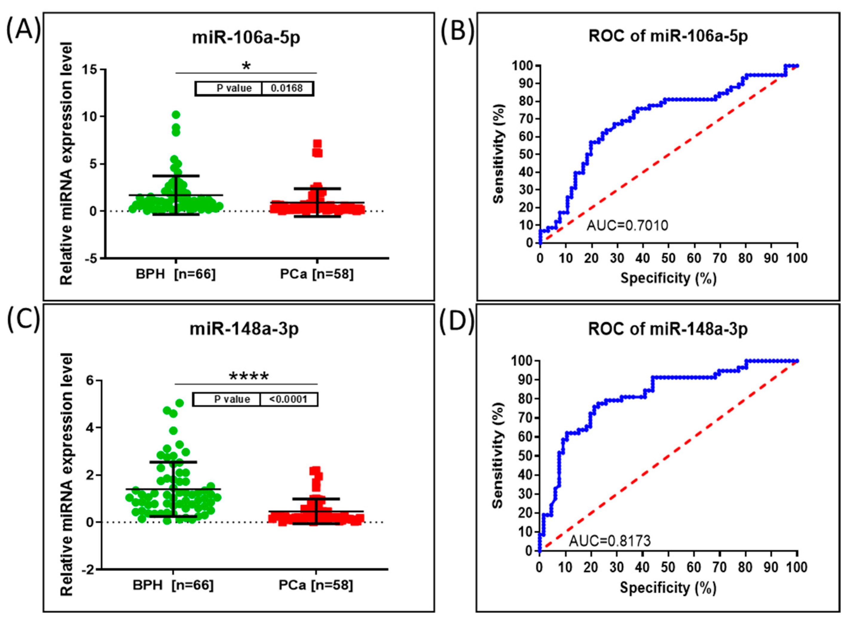 Genes 15 00584 g001