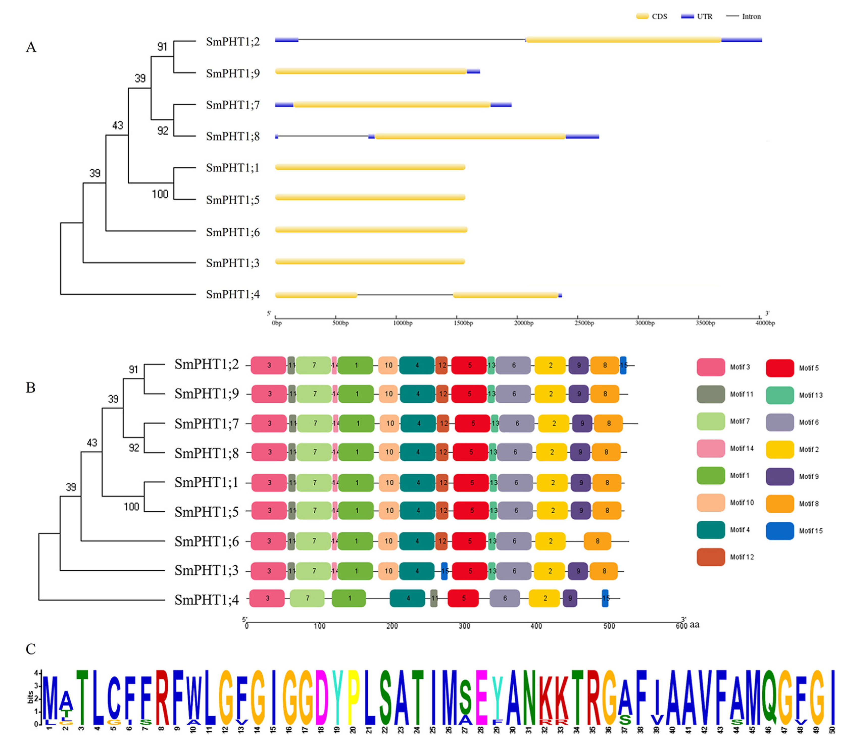 Genes 15 00589 g002