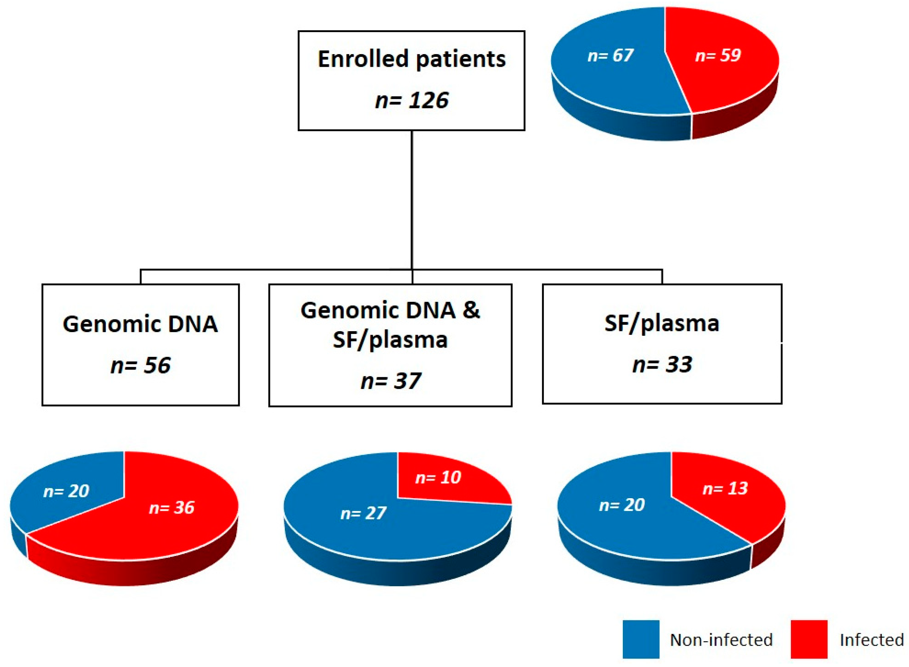 Genes 15 00596 g001