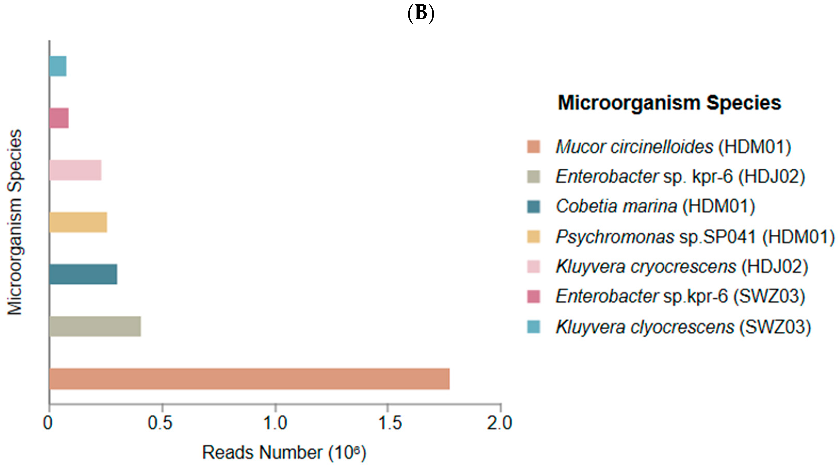 Genes 15 00598 g001b