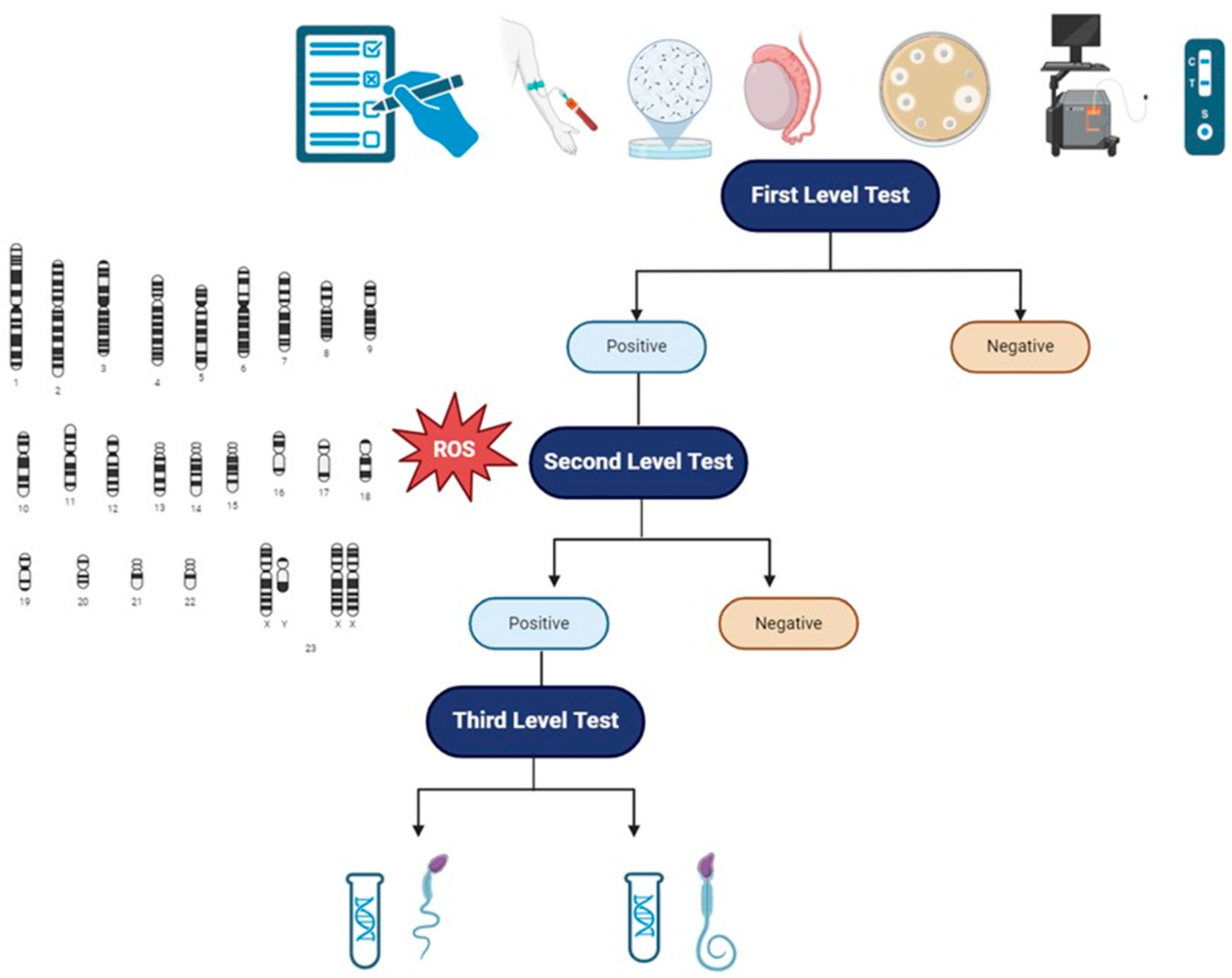 Genes 15 00600 g002 Genes 15 00600 g002