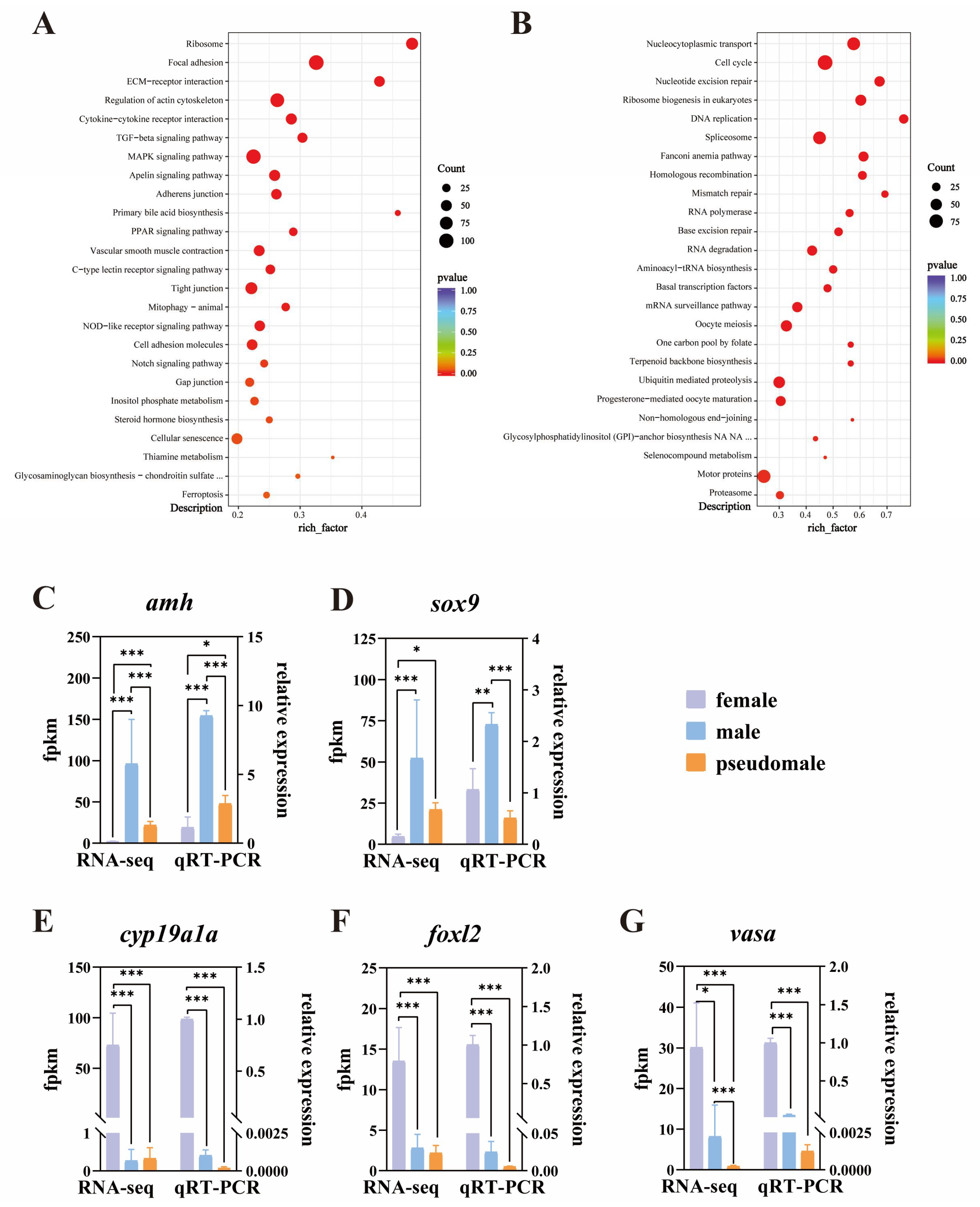 Genes 15 00605 g005 Genes 15 00605 g005