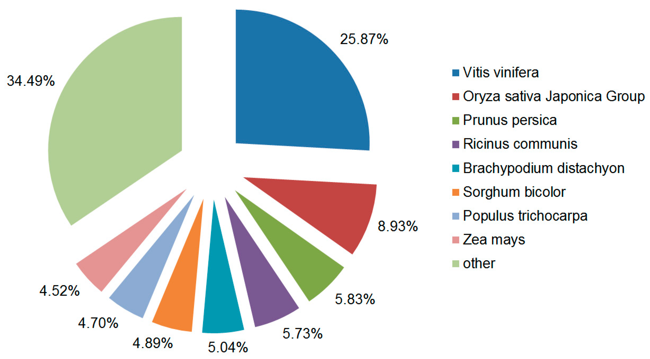Genes 15 00608 g003 Genes 15 00608 g003