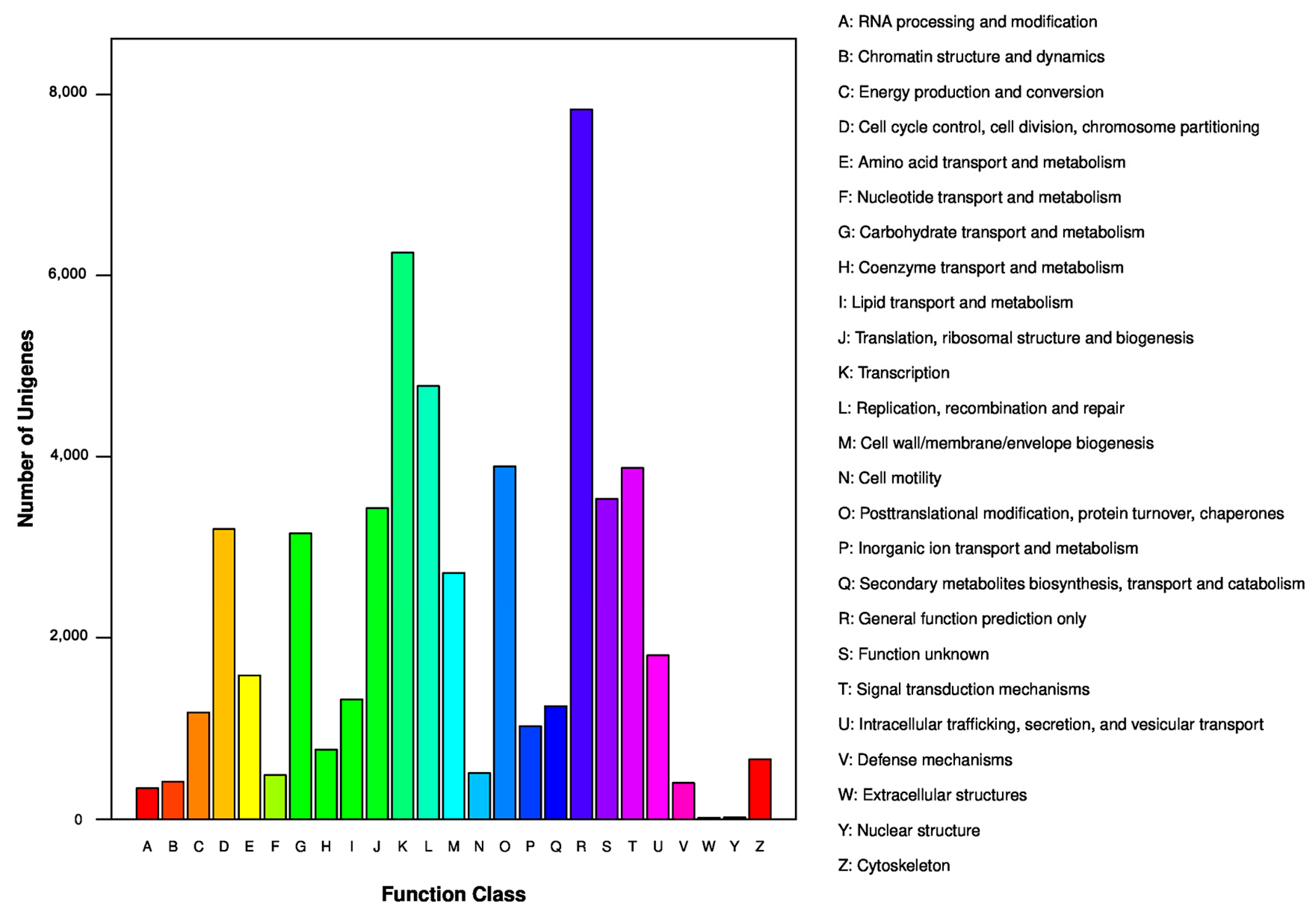 Genes 15 00608 g005 Genes 15 00608 g005