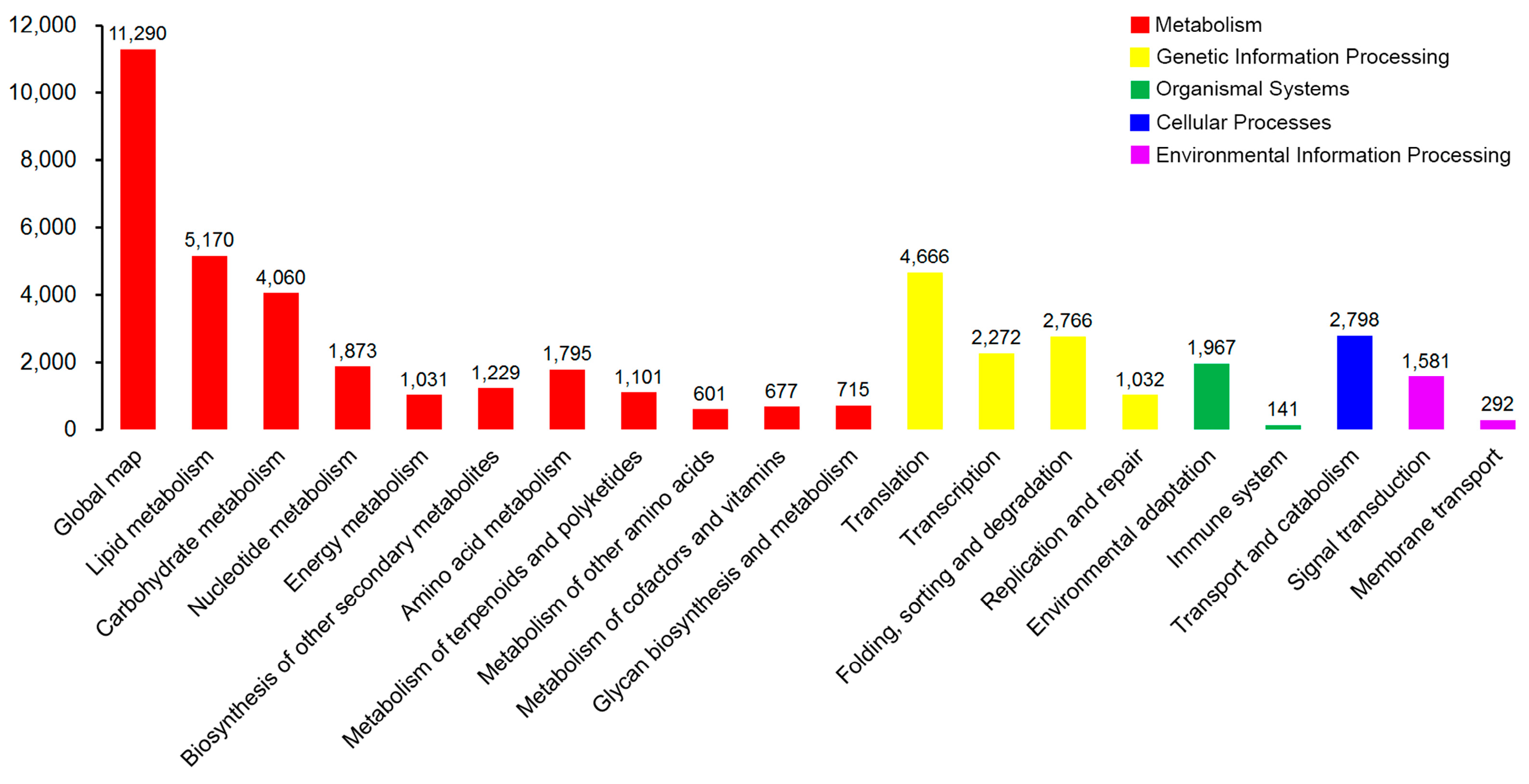 Genes 15 00608 g006 Genes 15 00608 g006