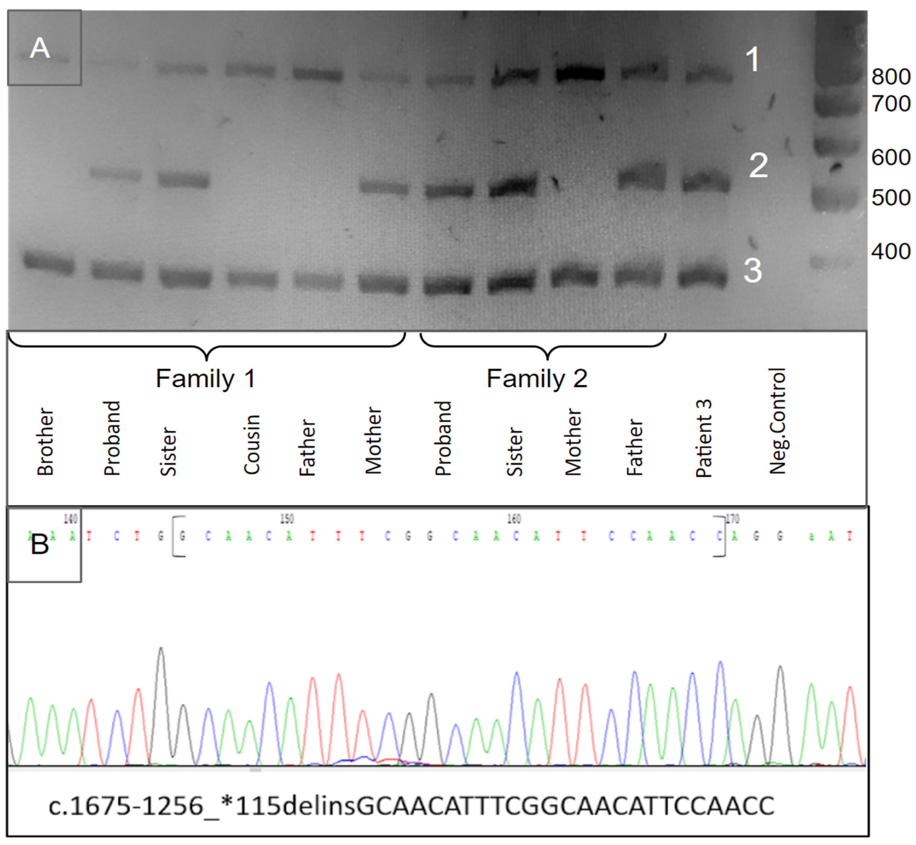 Genes 15 00615 g001
