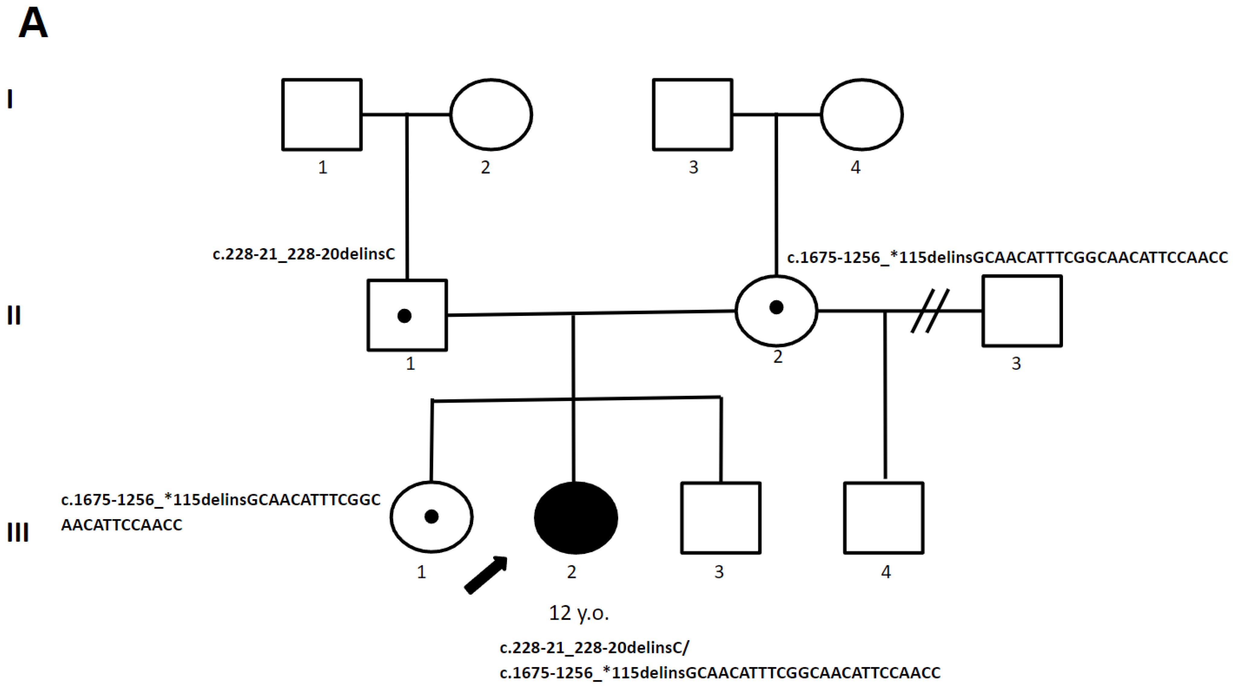 Genes 15 00615 g002a