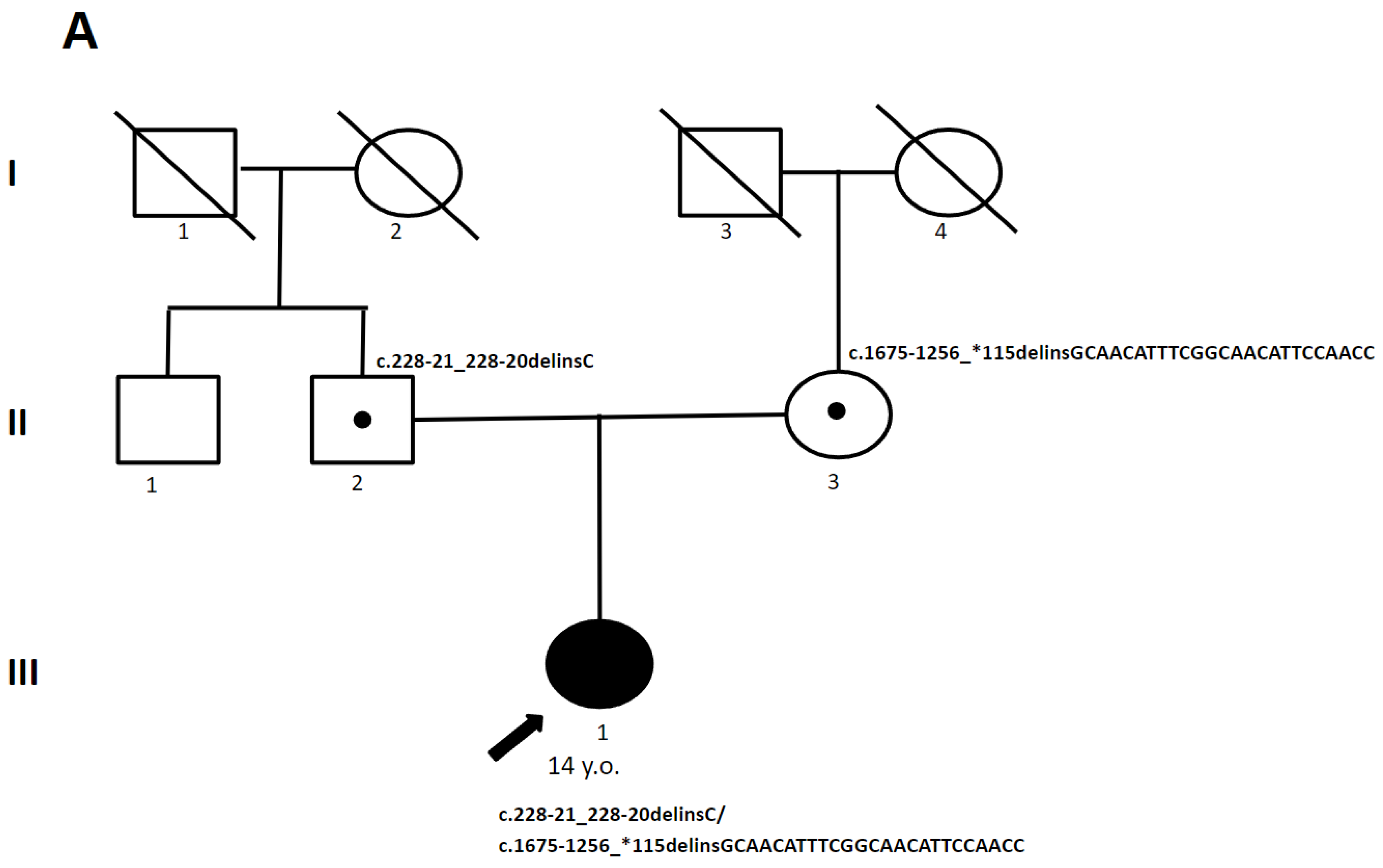 Genes 15 00615 g004a