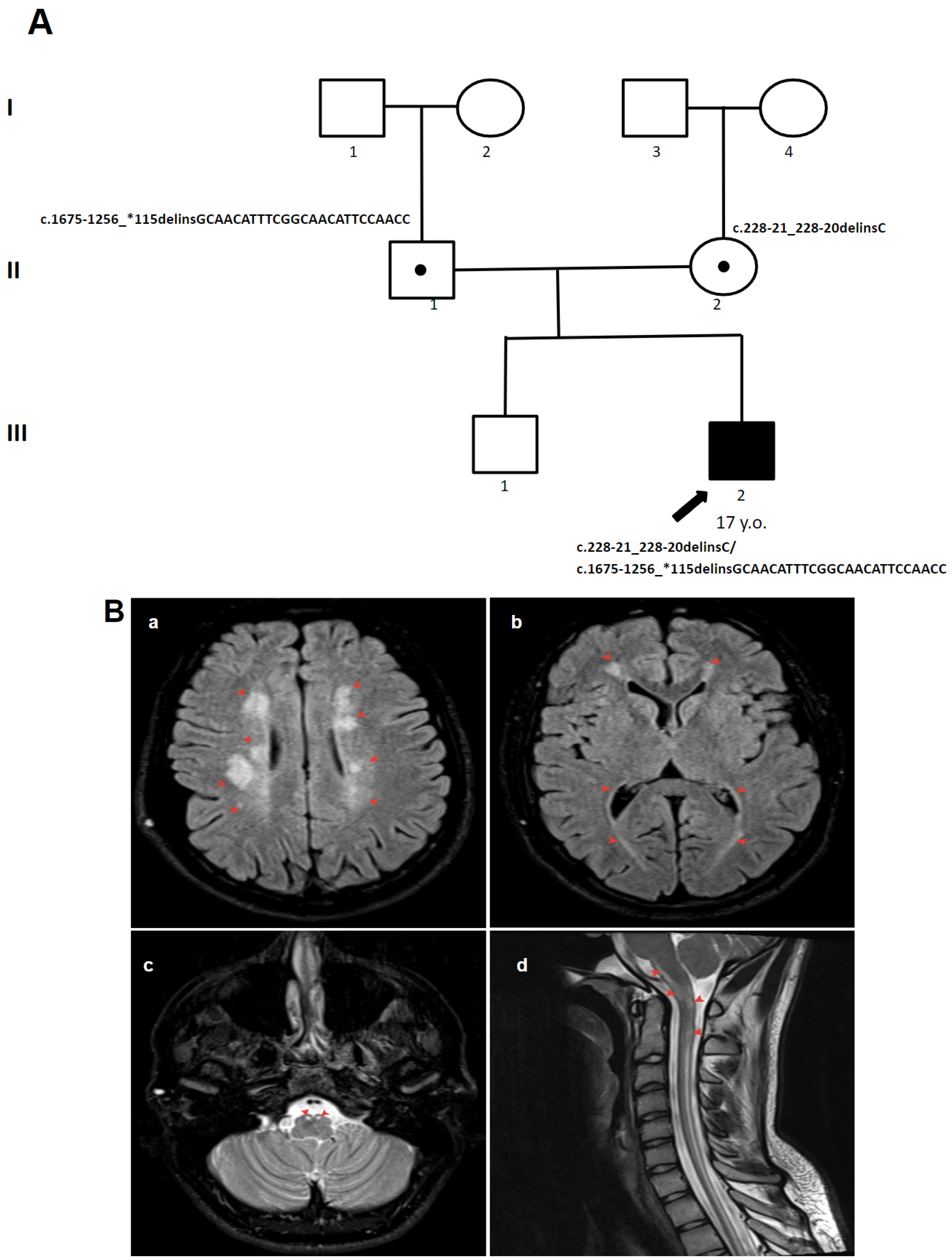 Genes 15 00615 g005