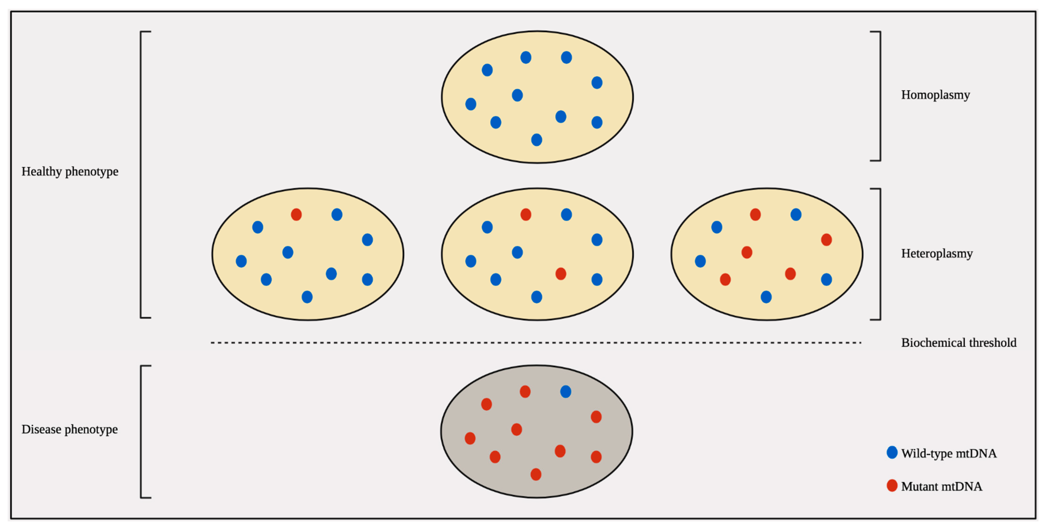 Genes 15 00617 g004 Genes 15 00617 g004