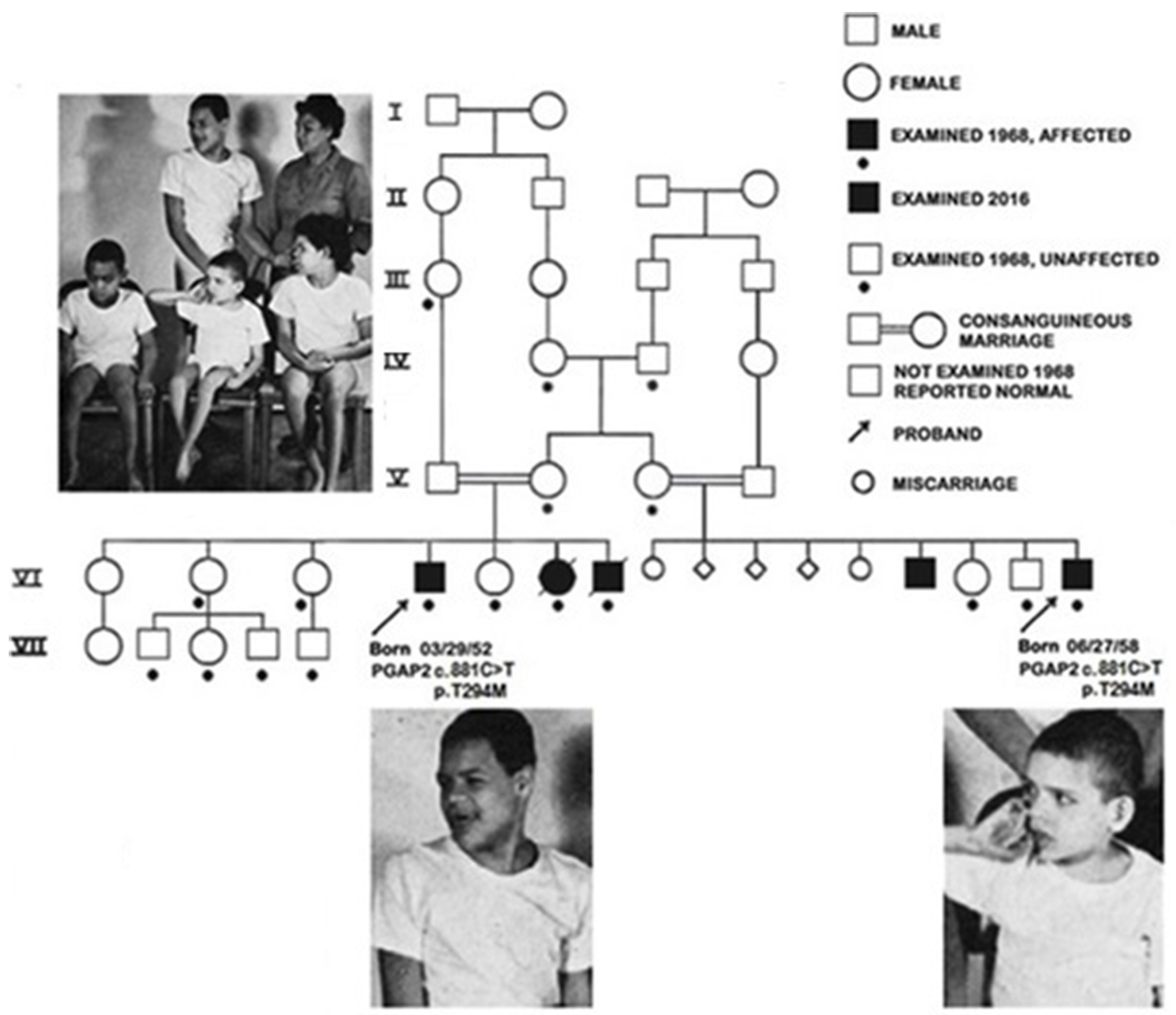 Genes 15 00619 g002 Genes 15 00619 g002