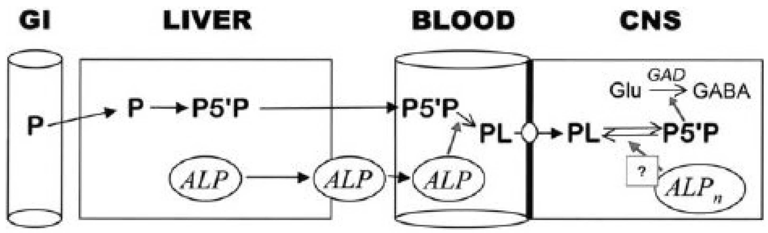 Genes 15 00619 g005 Genes 15 00619 g005