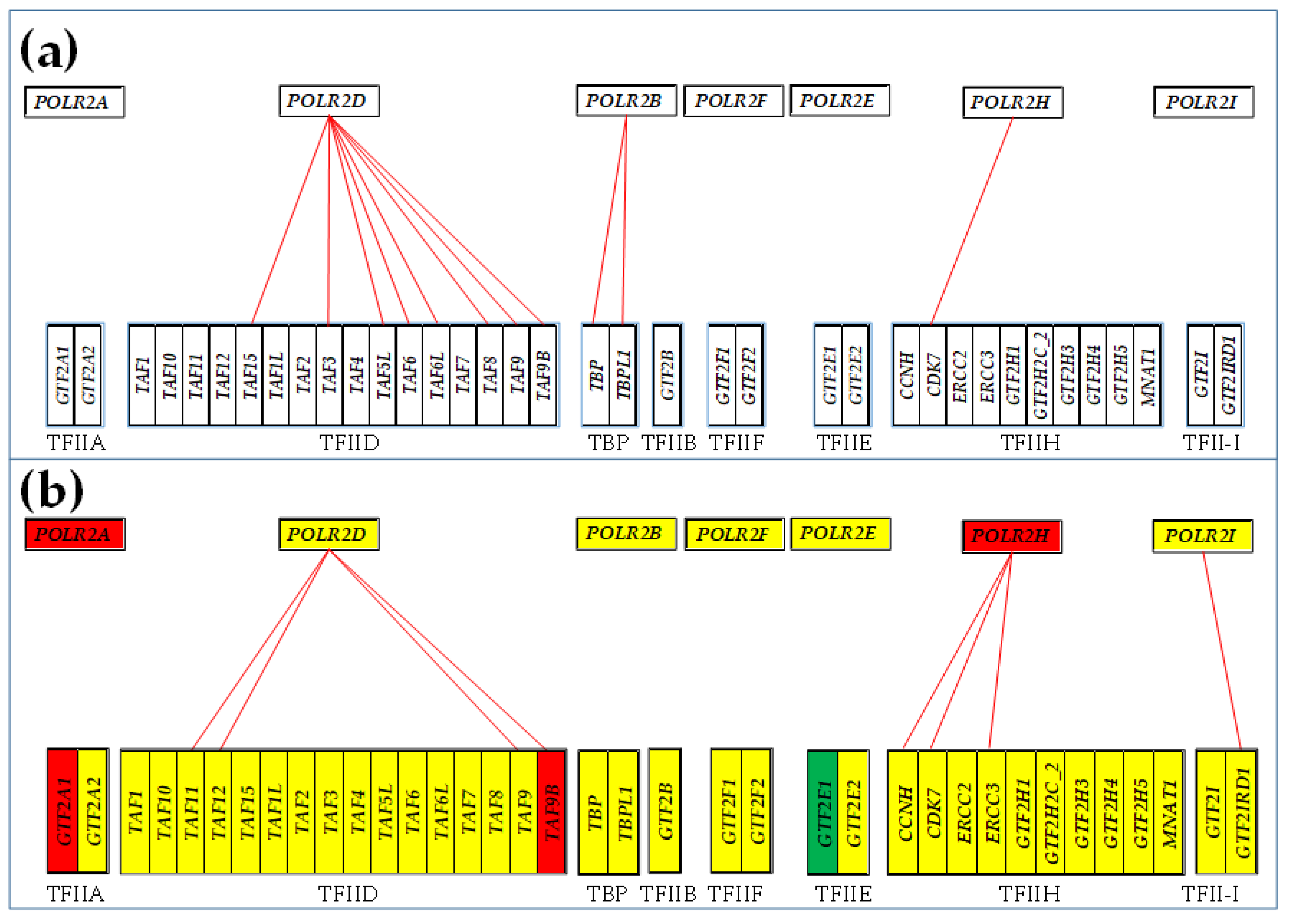Genes 15 00621 g007a