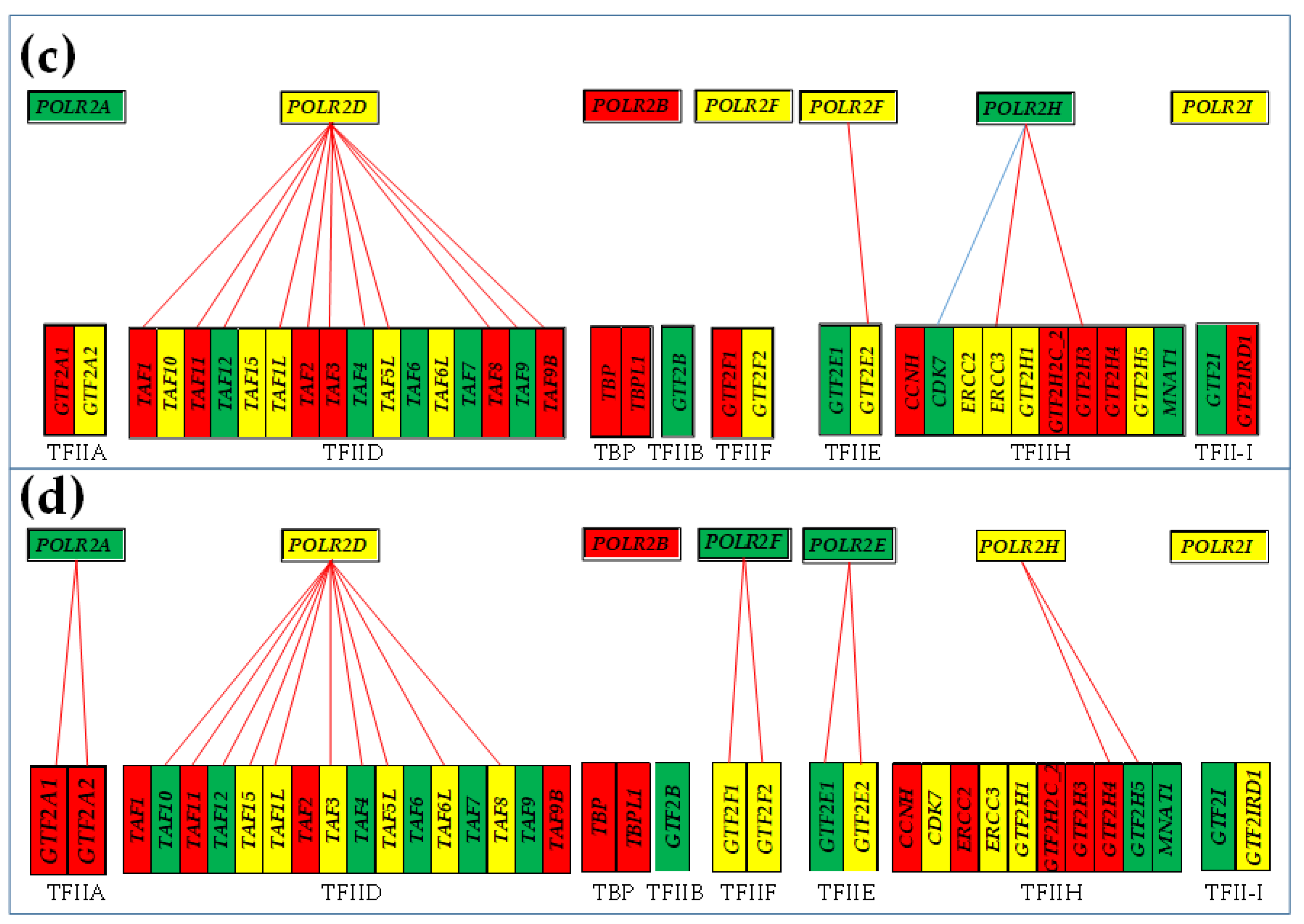 Genes 15 00621 g007b