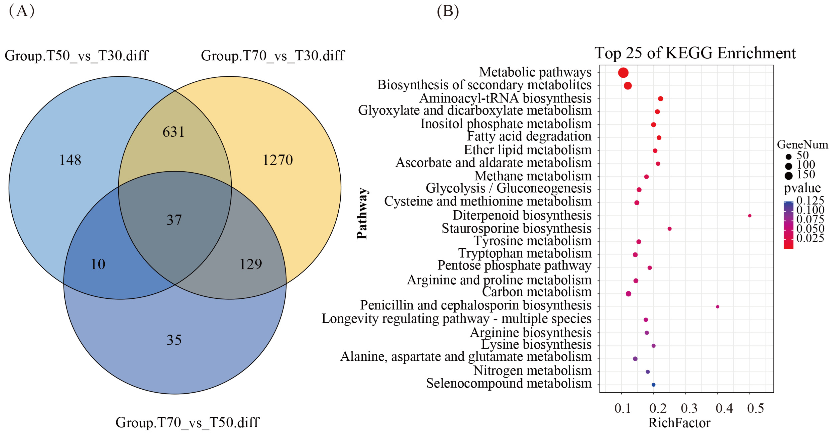 Genes 15 00626 g004