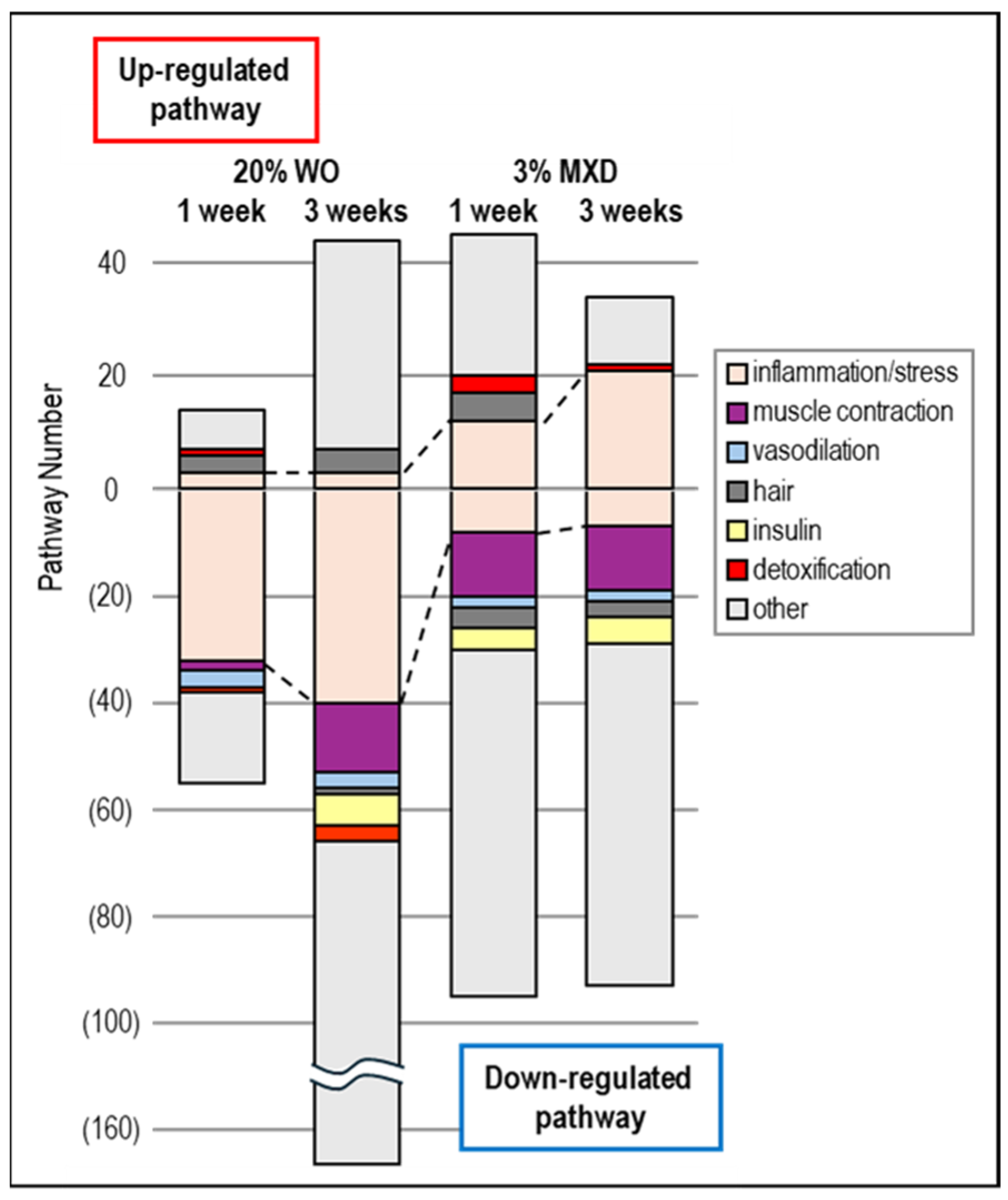 Genes 15 00627 g007