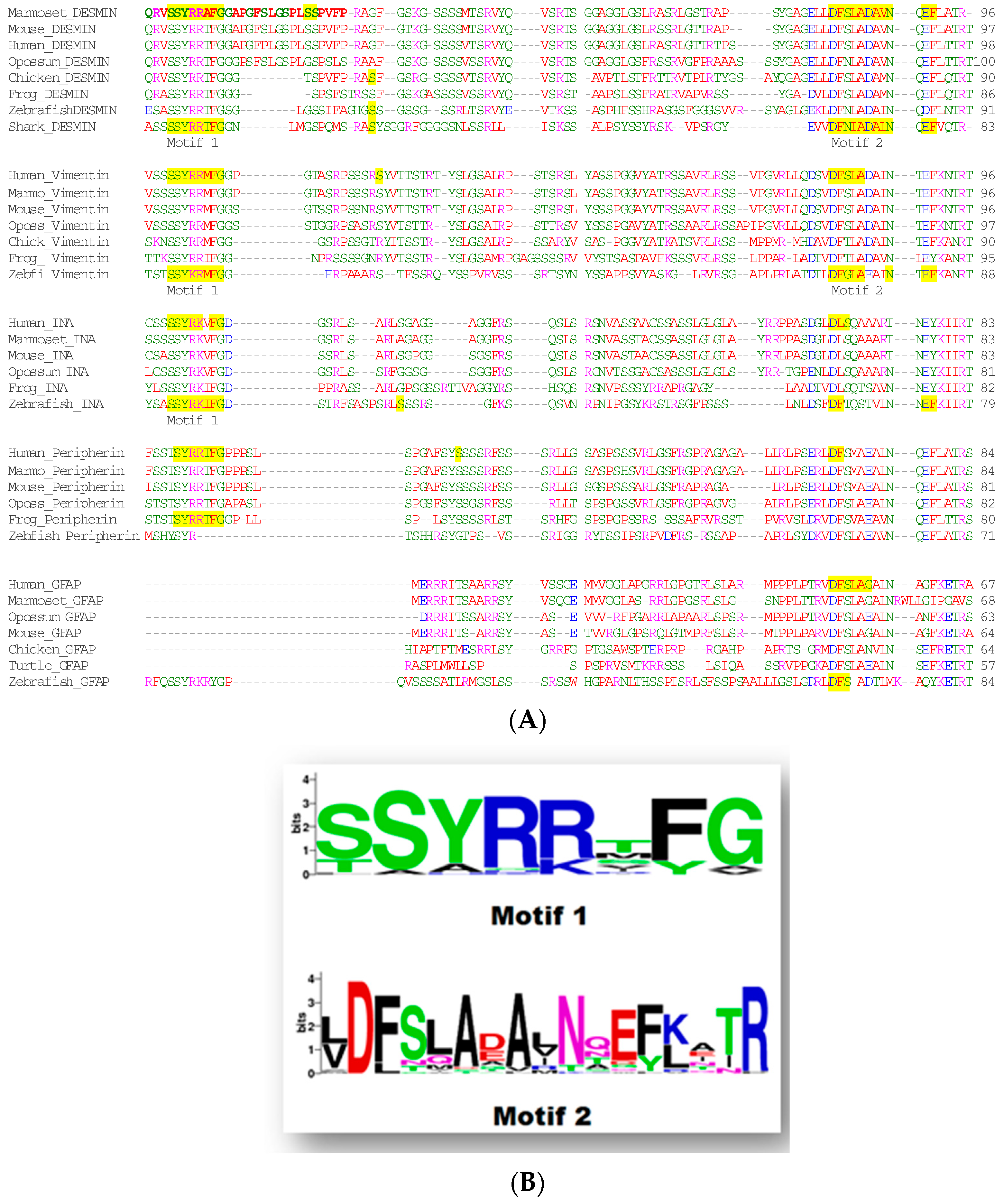 Genes 15 00633 g002 Genes 15 00633 g002