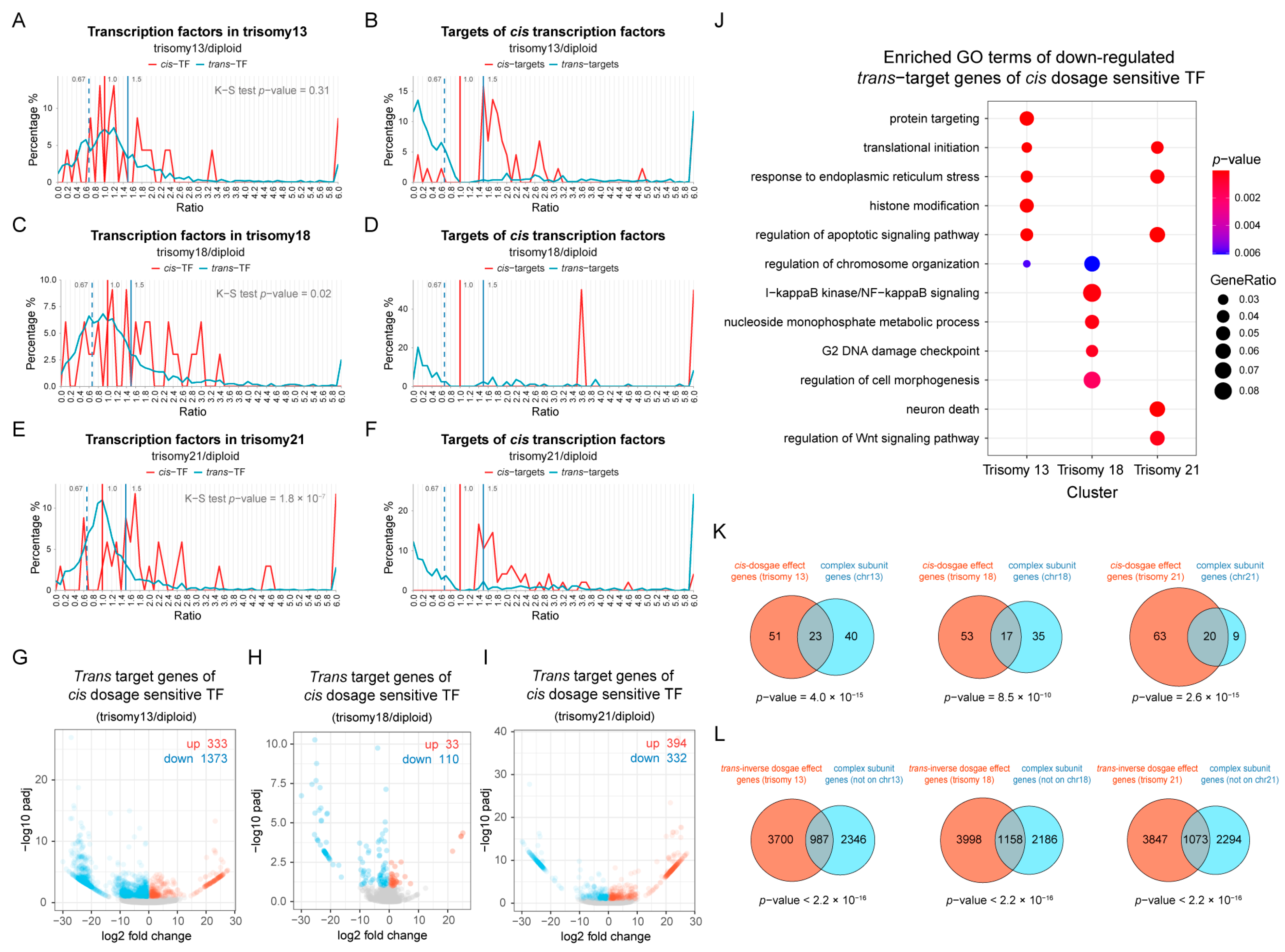 Genes 15 00637 g006