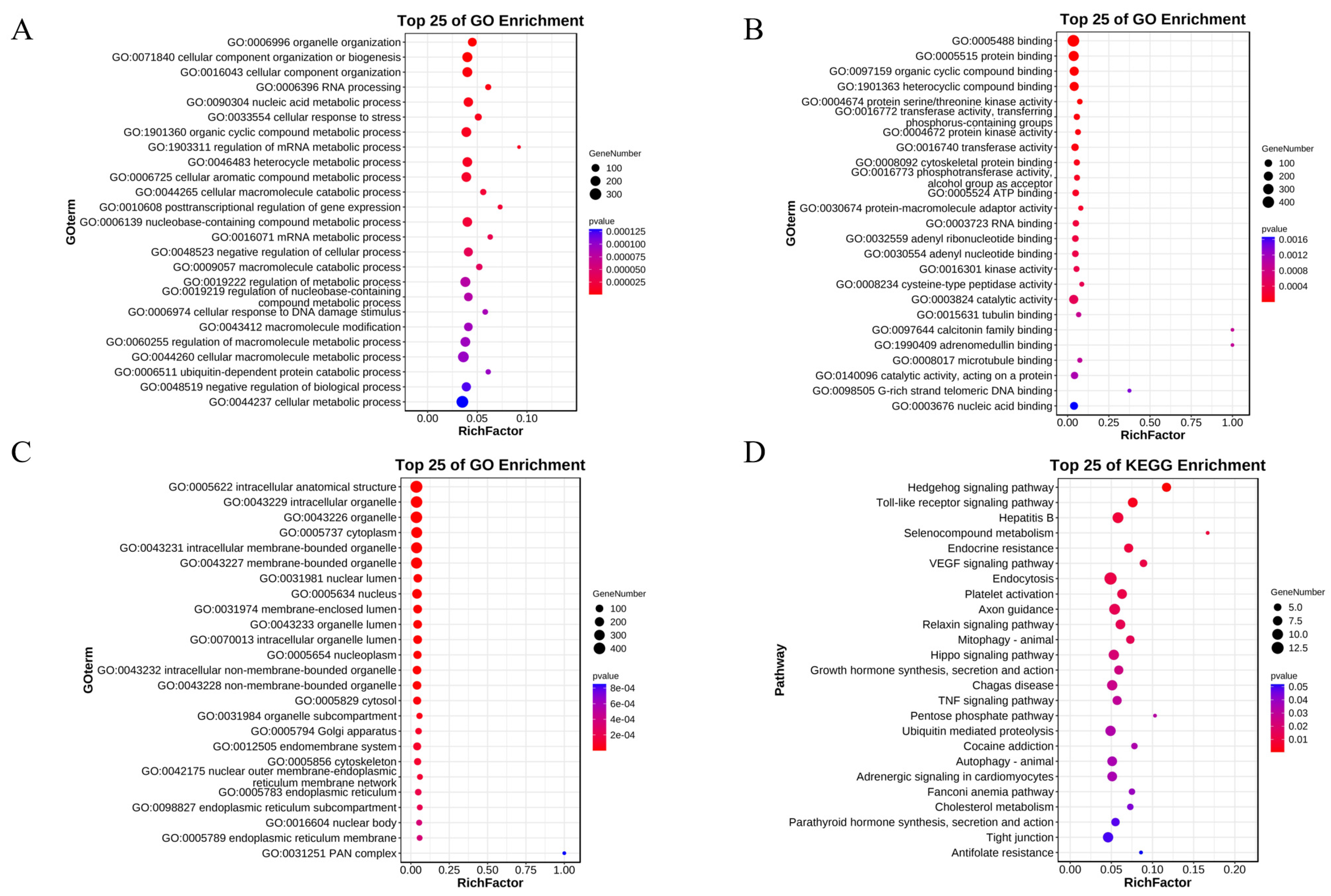 Genes 15 00640 g003