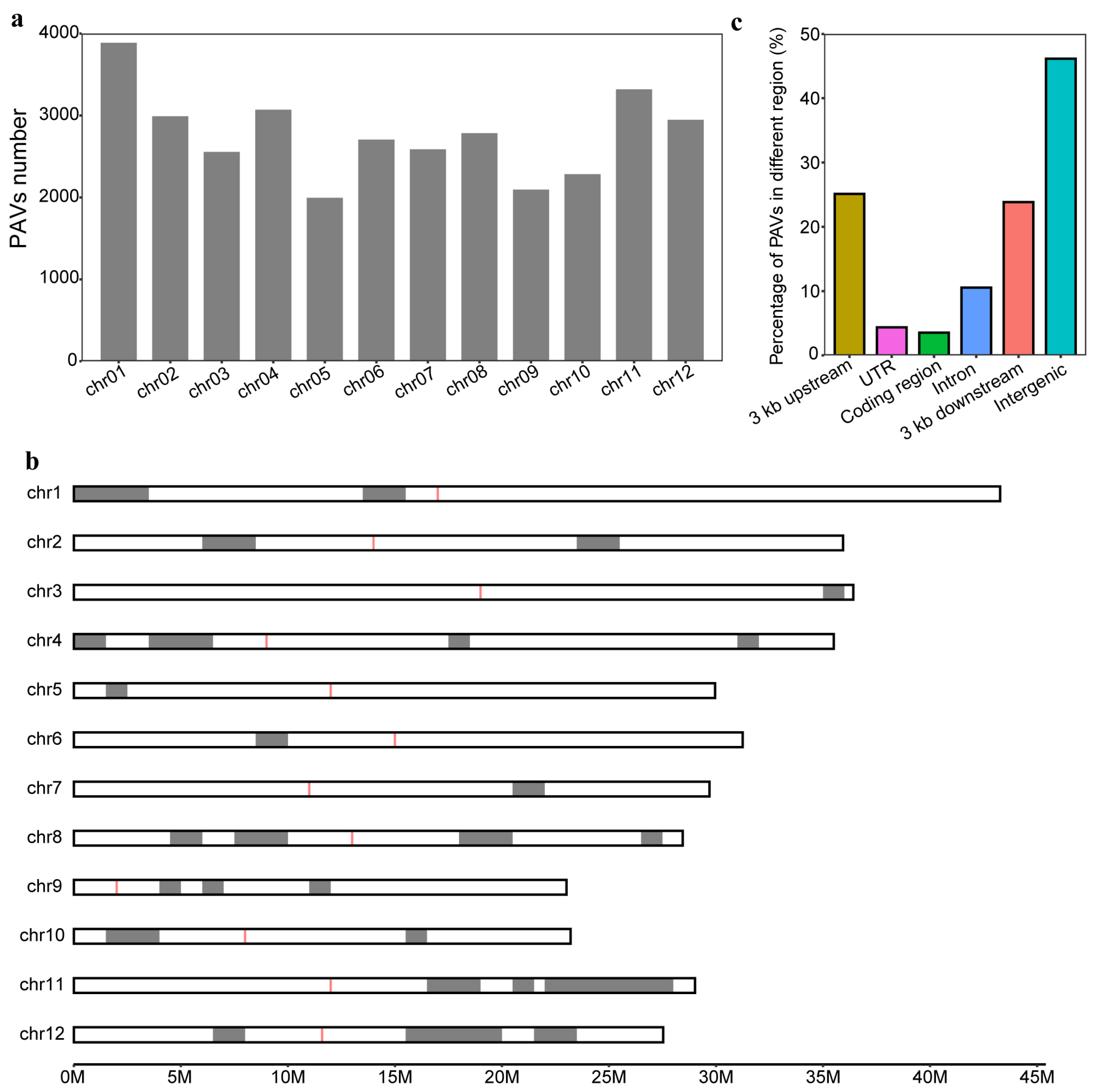 Genes 15 00645 g002 Genes 15 00645 g002
